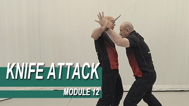 Knife Attack - Module 12 - Swinging K...