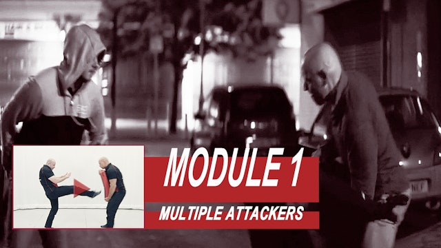 Training Module 1 - Multiple Attackers