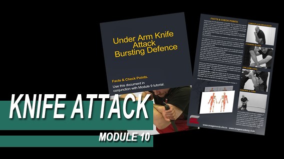 Knife Attack - Module 10 - Facts And Checkpoints