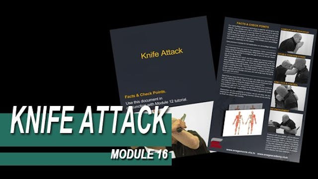 Knife Attack - Module 16 - Facts And ...