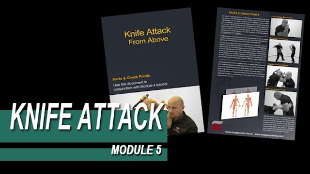 Knife Attack - Module 5 - Facts And Checkpoints
