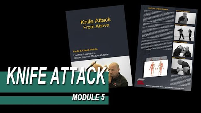 Knife Attack - Module 5 - Facts And C...