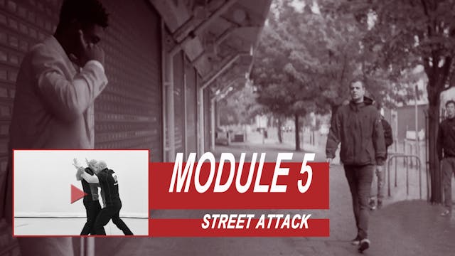 Training Module 5 - Street Attack