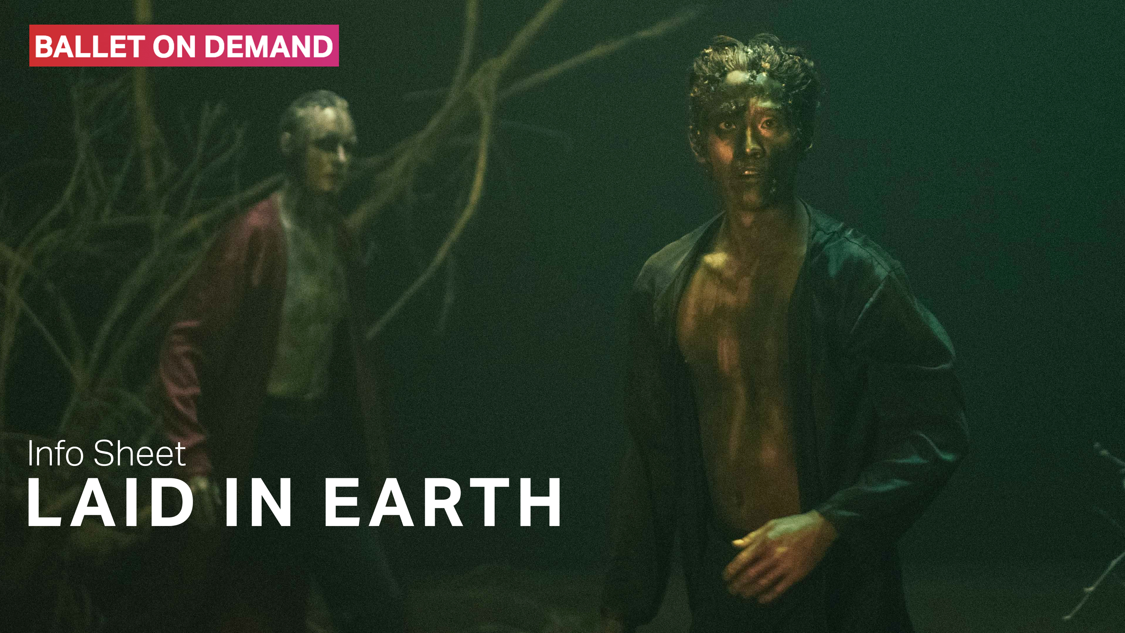 Laid in Earth | Info Sheet