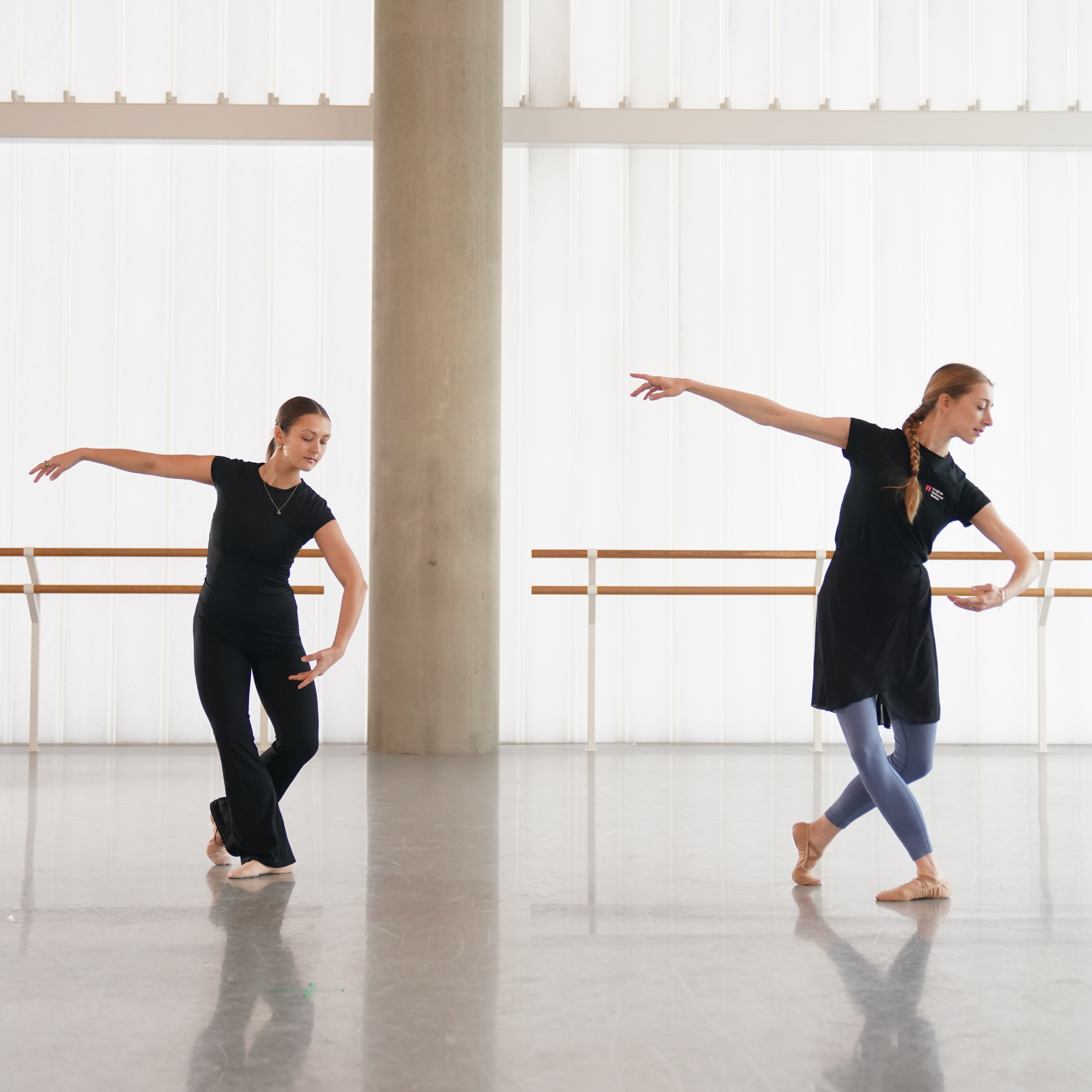 Ballet Vocab | Pas de chat