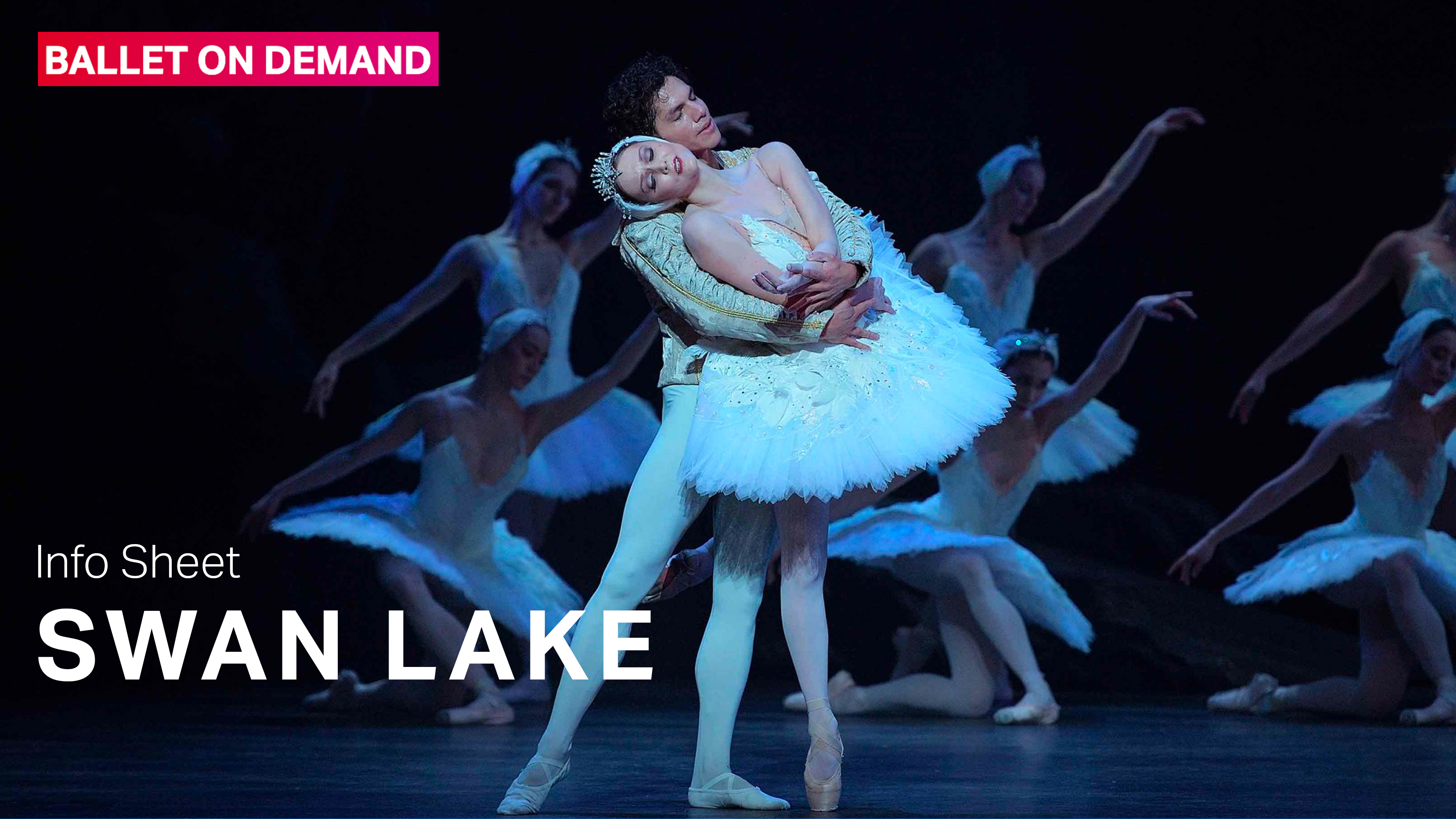 Swan Lake | Info Sheet