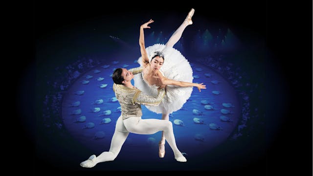 Swan Lake in-the-round