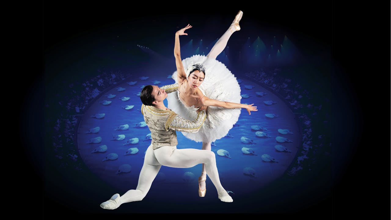 Swan Lake in-the-round