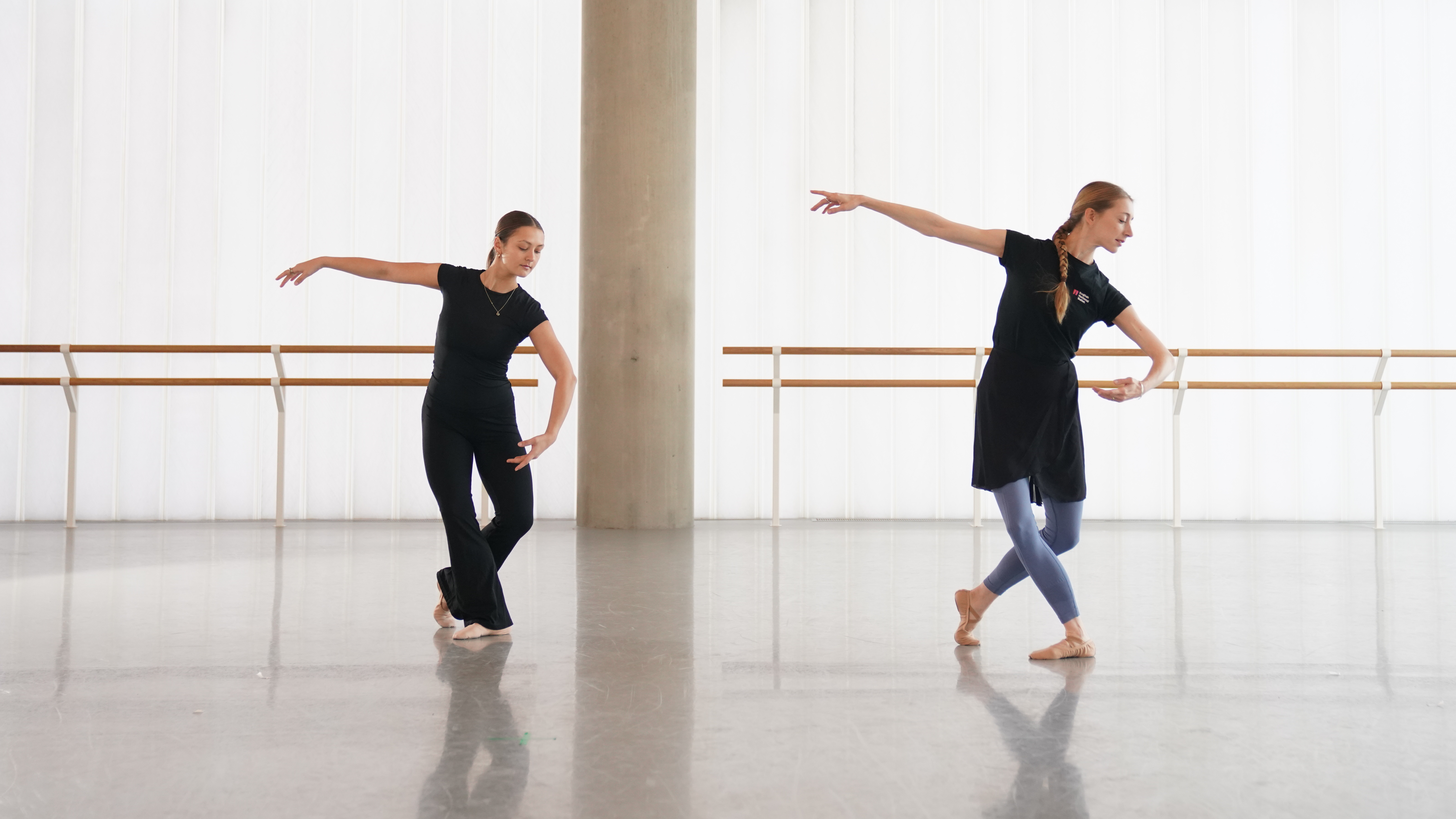 Week 2: Ballet Vocab | Pas de chat