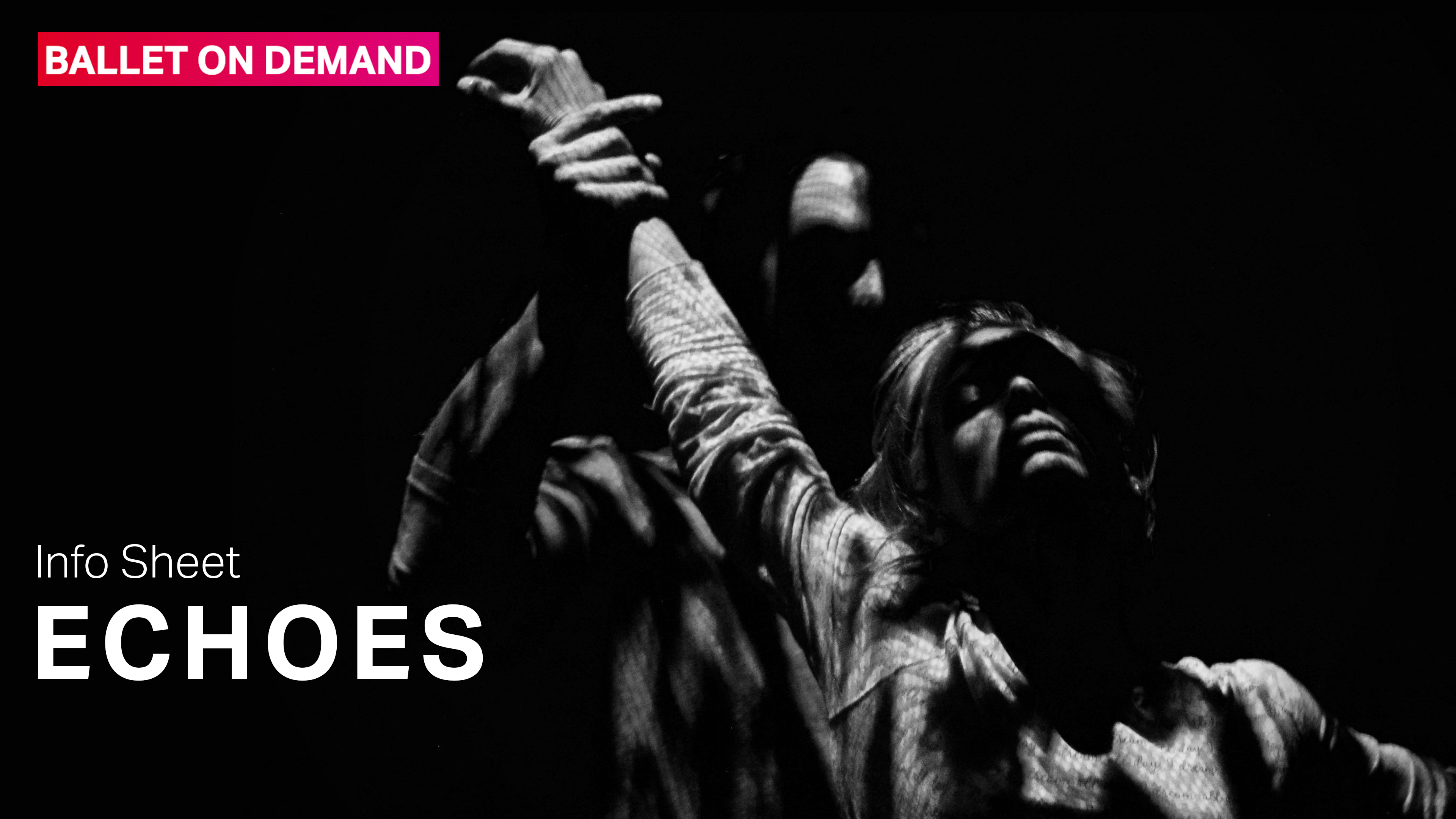 Echoes | Info Sheet