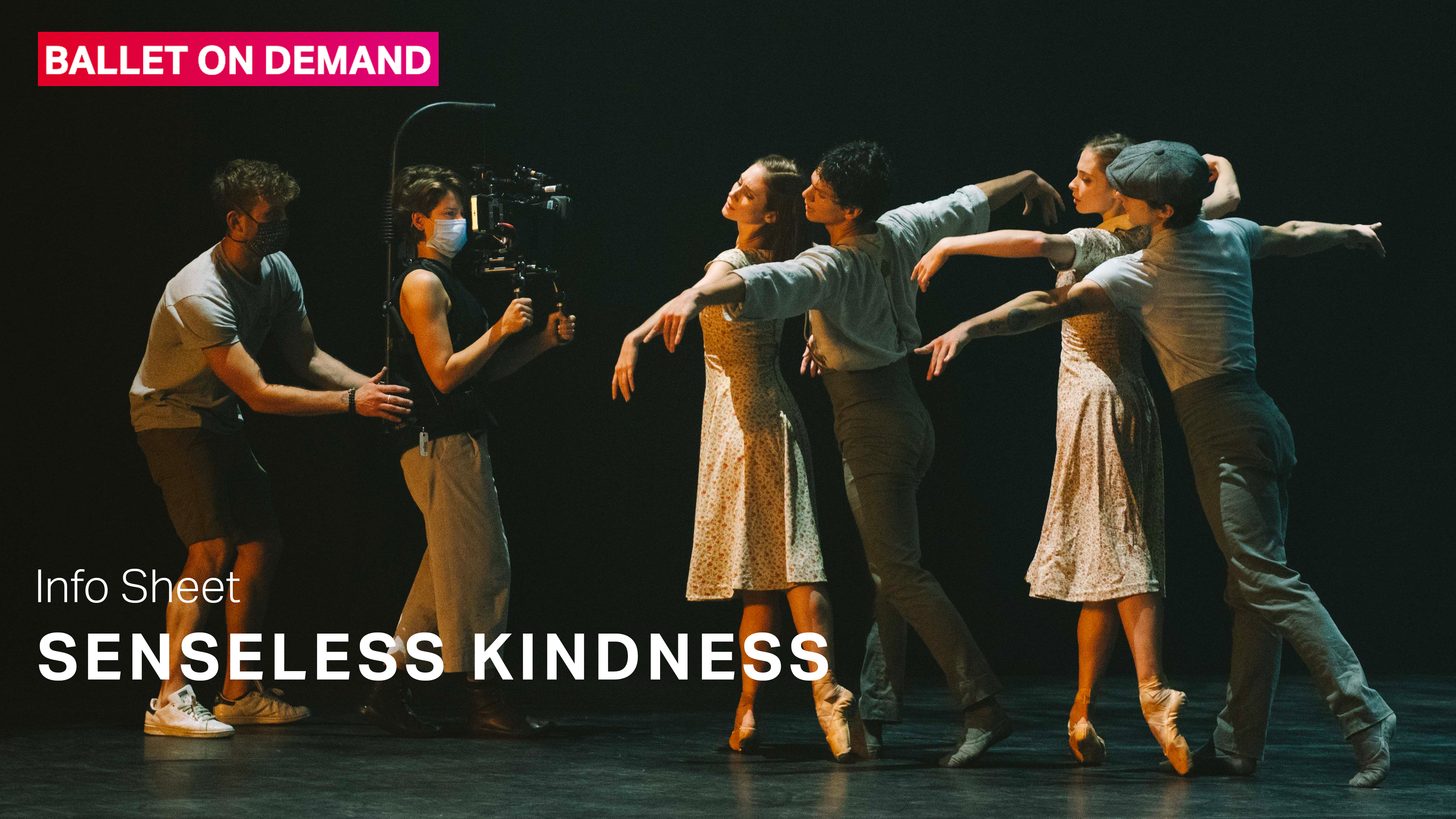 Senseless Kindness | Info Sheet