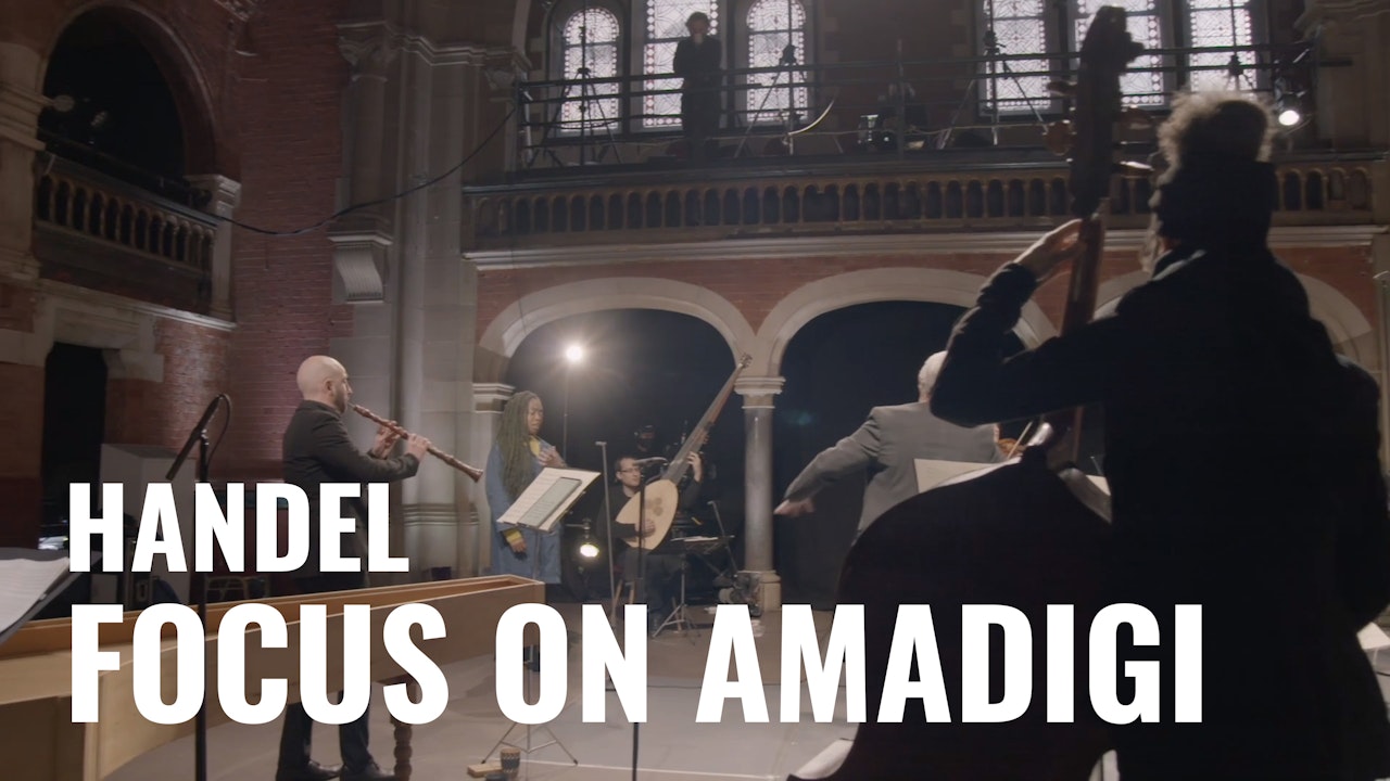 Handel: Focus on Amadigi