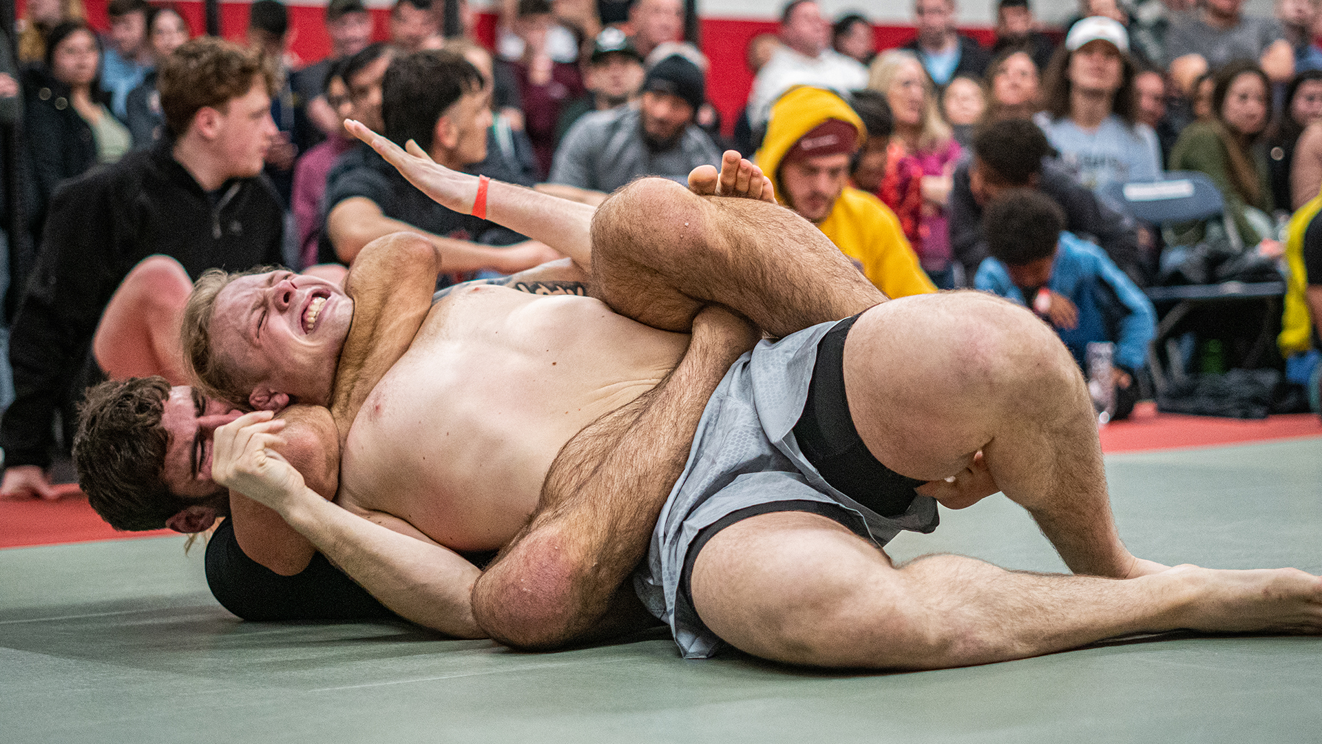 Bill Carroll vs Cameron MacDonald