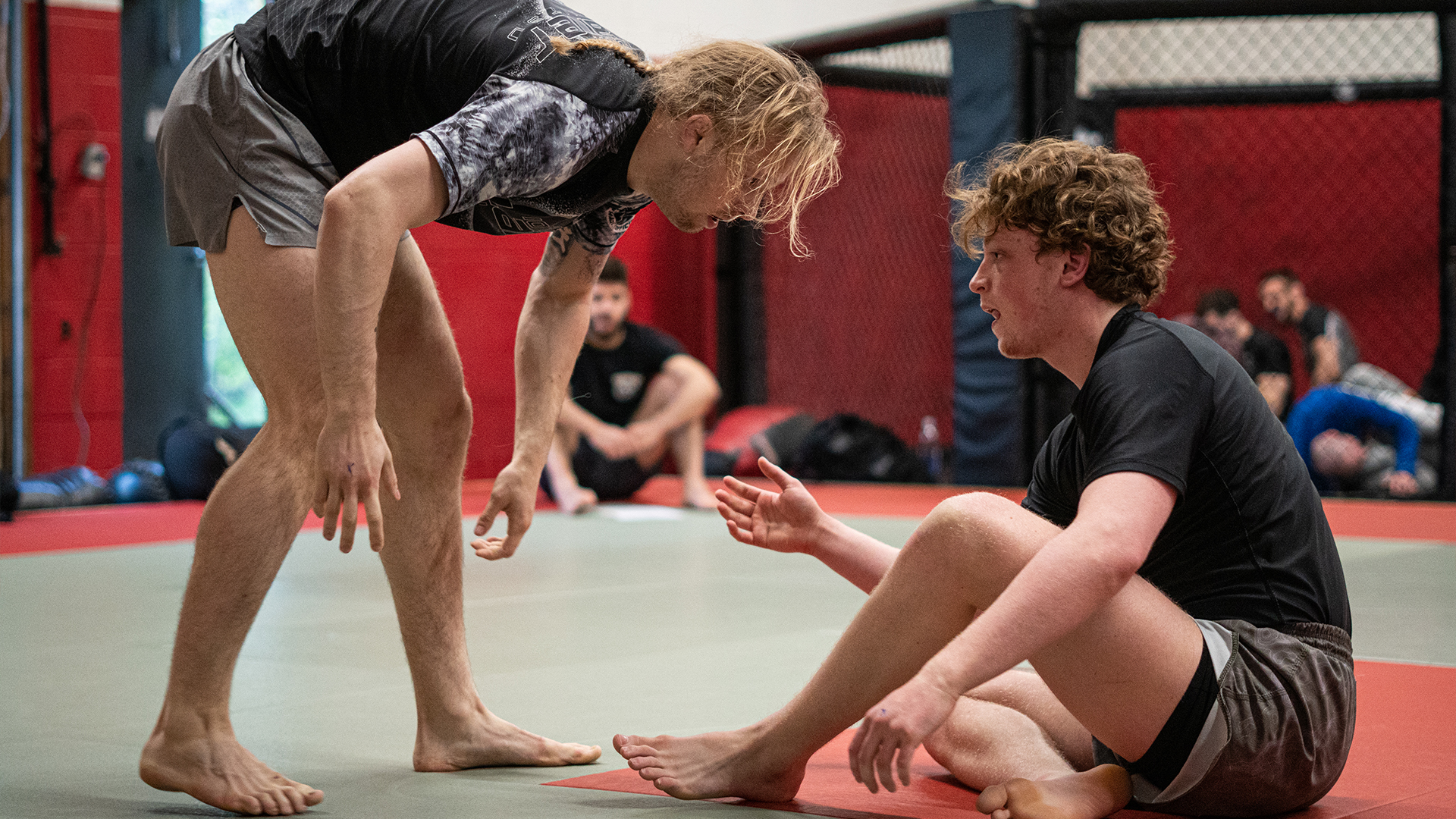 Bill Carroll vs George Stokvis