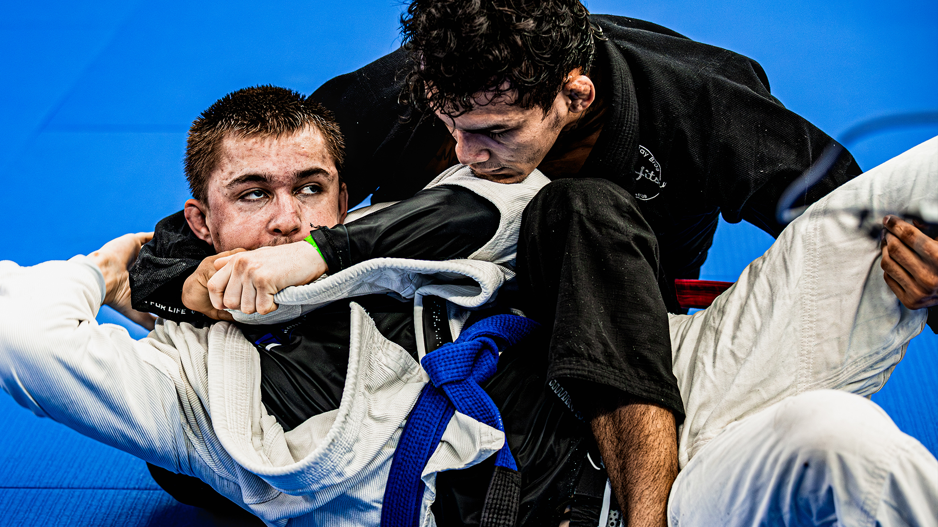 Bryce Lamb vs Carlos Henrique