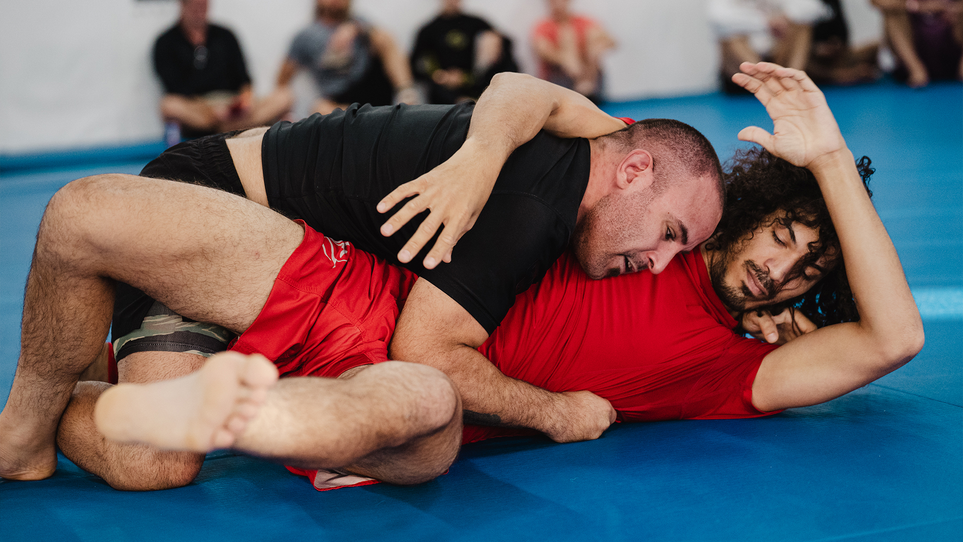 Ben Knowlton vs Angelo Giostra