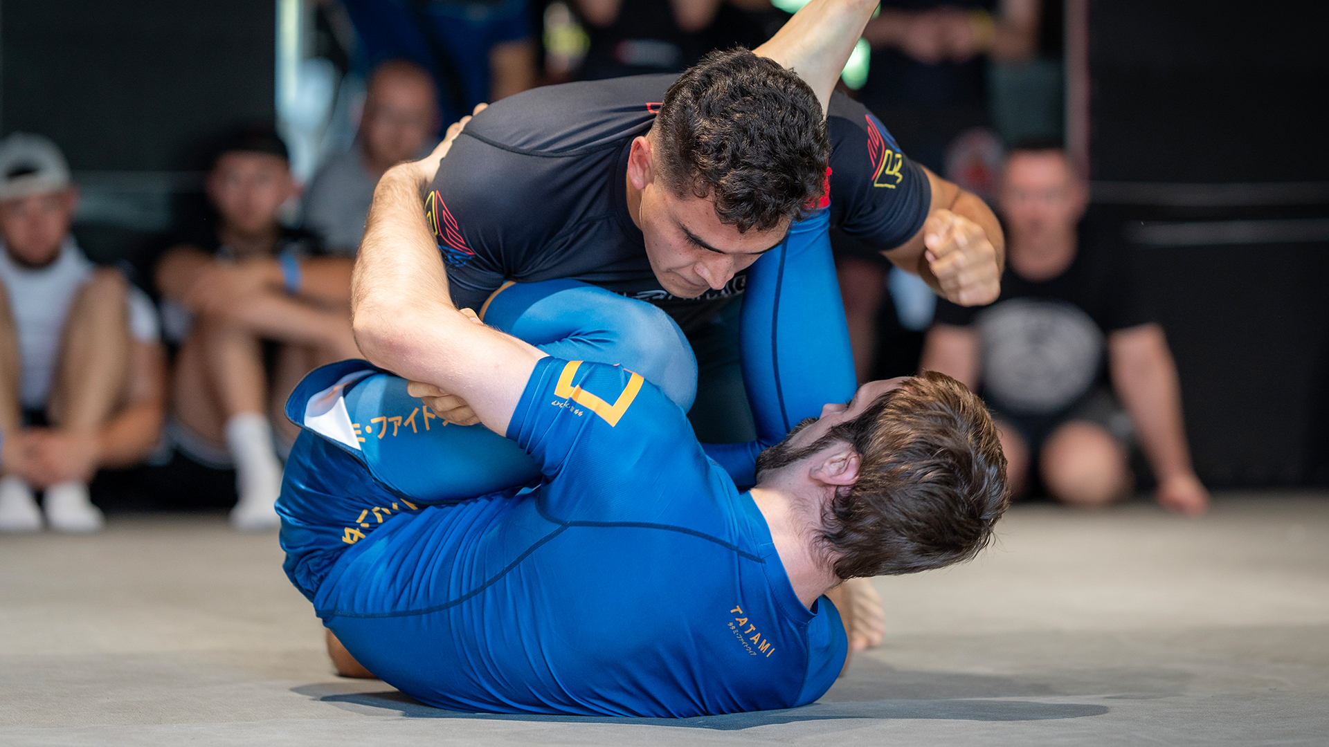 Jannek Martin Brauer vs Hans Daniel Böhnert Gómez