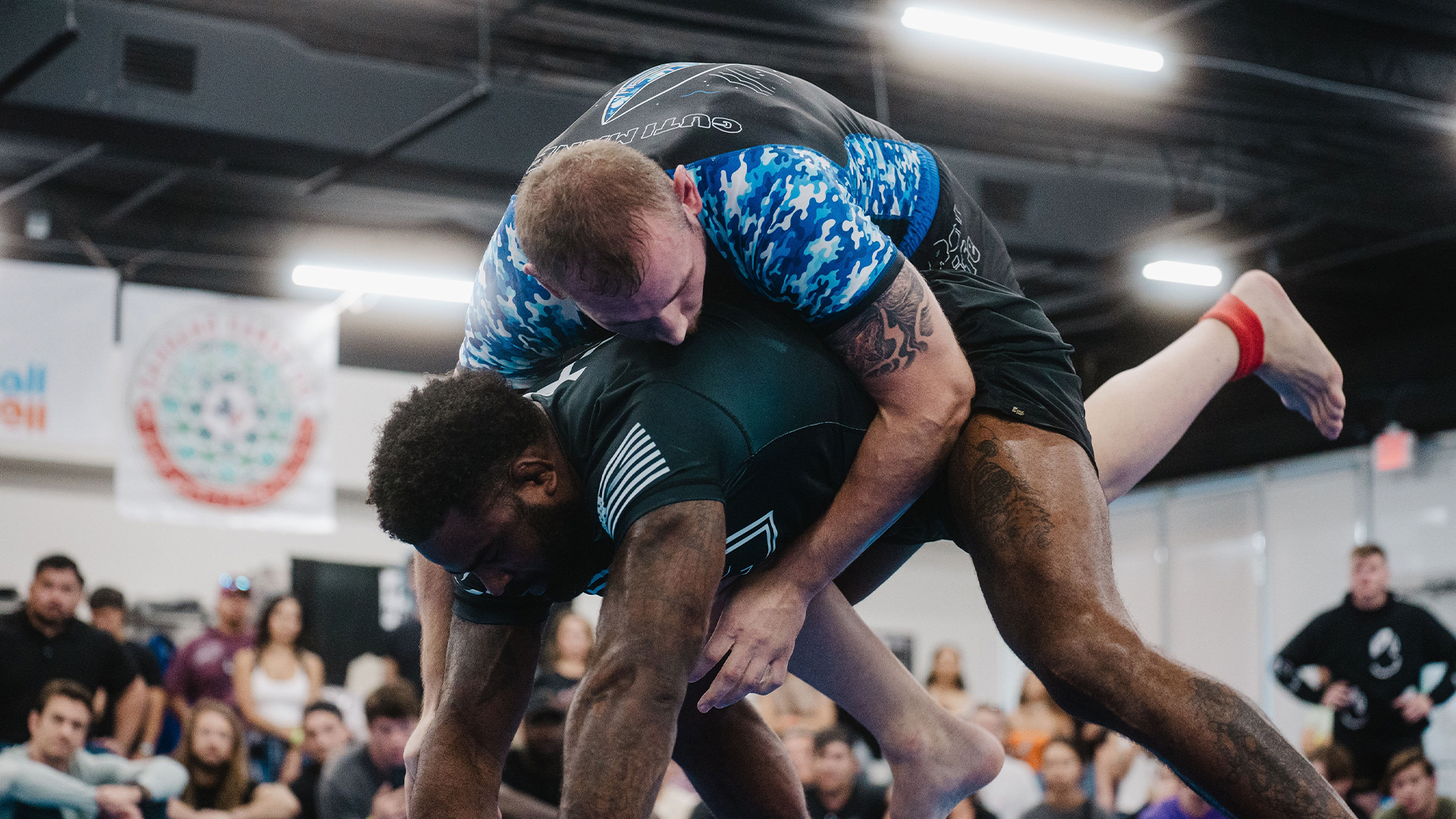 Anthony Ripley vs Anthony Malaguti