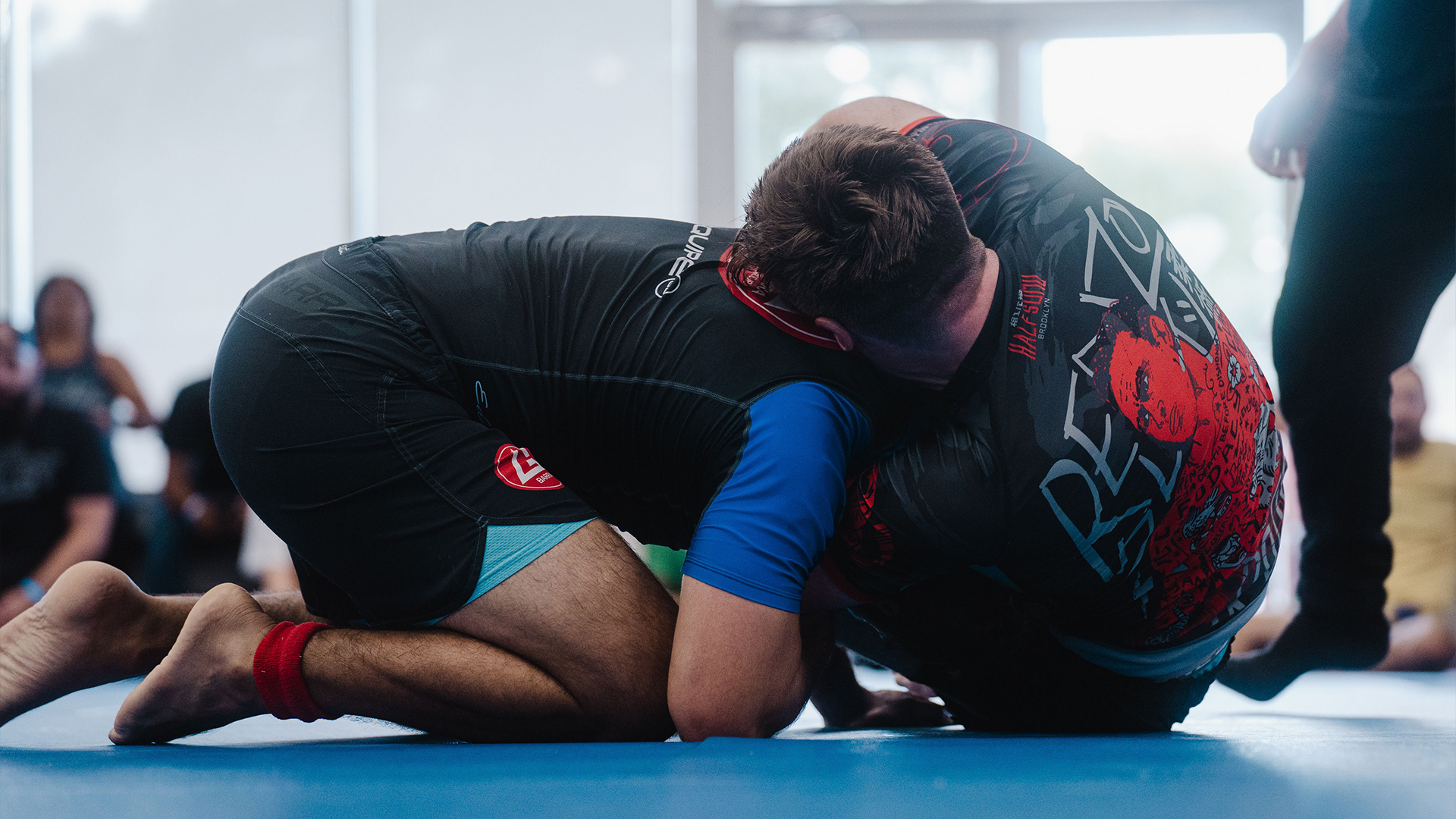 Zach Cook vs Shay Norton