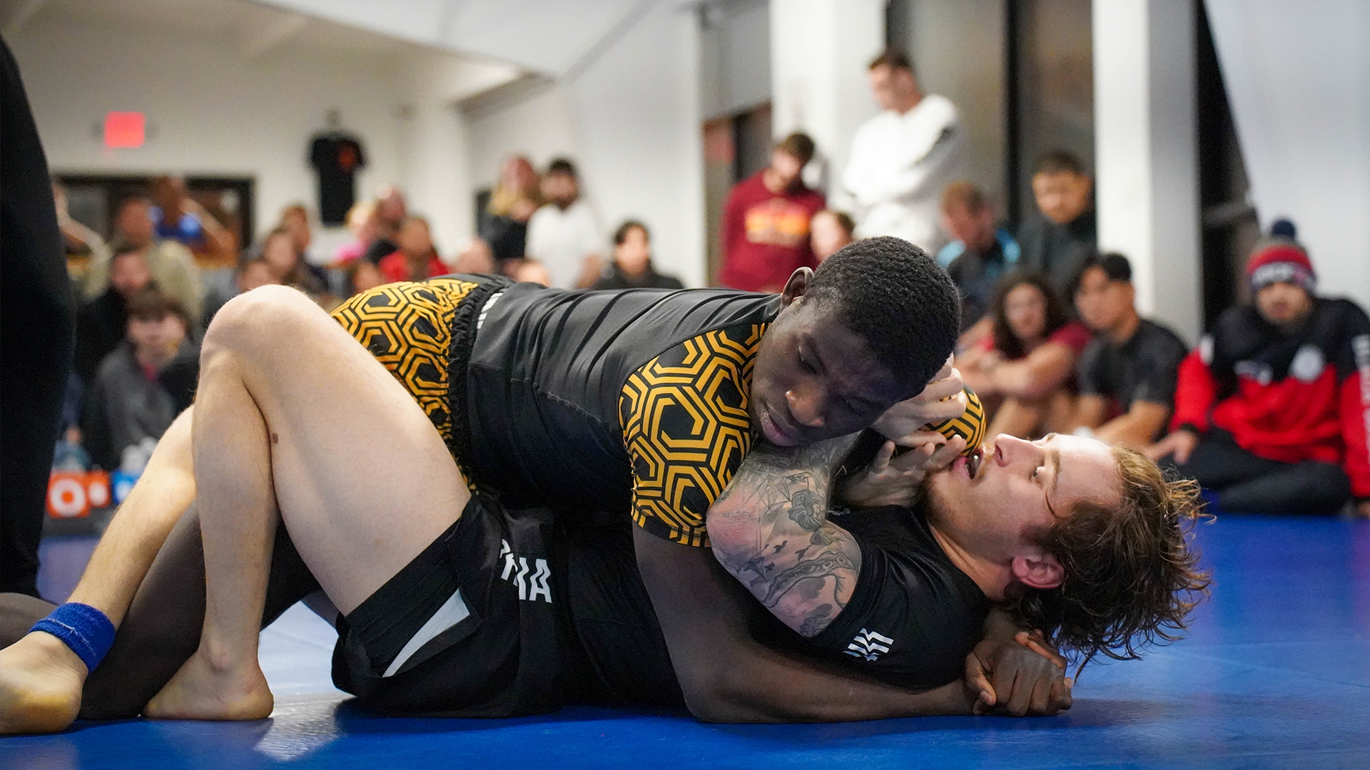 Davis Asare vs Anthony Salvatore