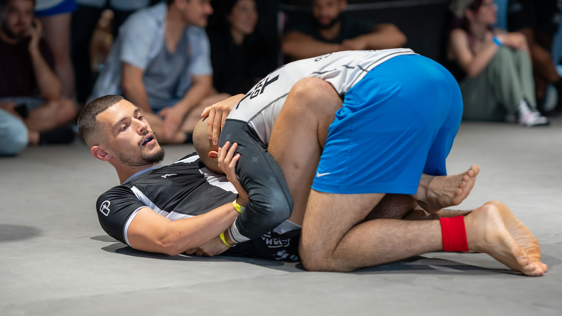 Armin Salkic vs Tarik El Kadi