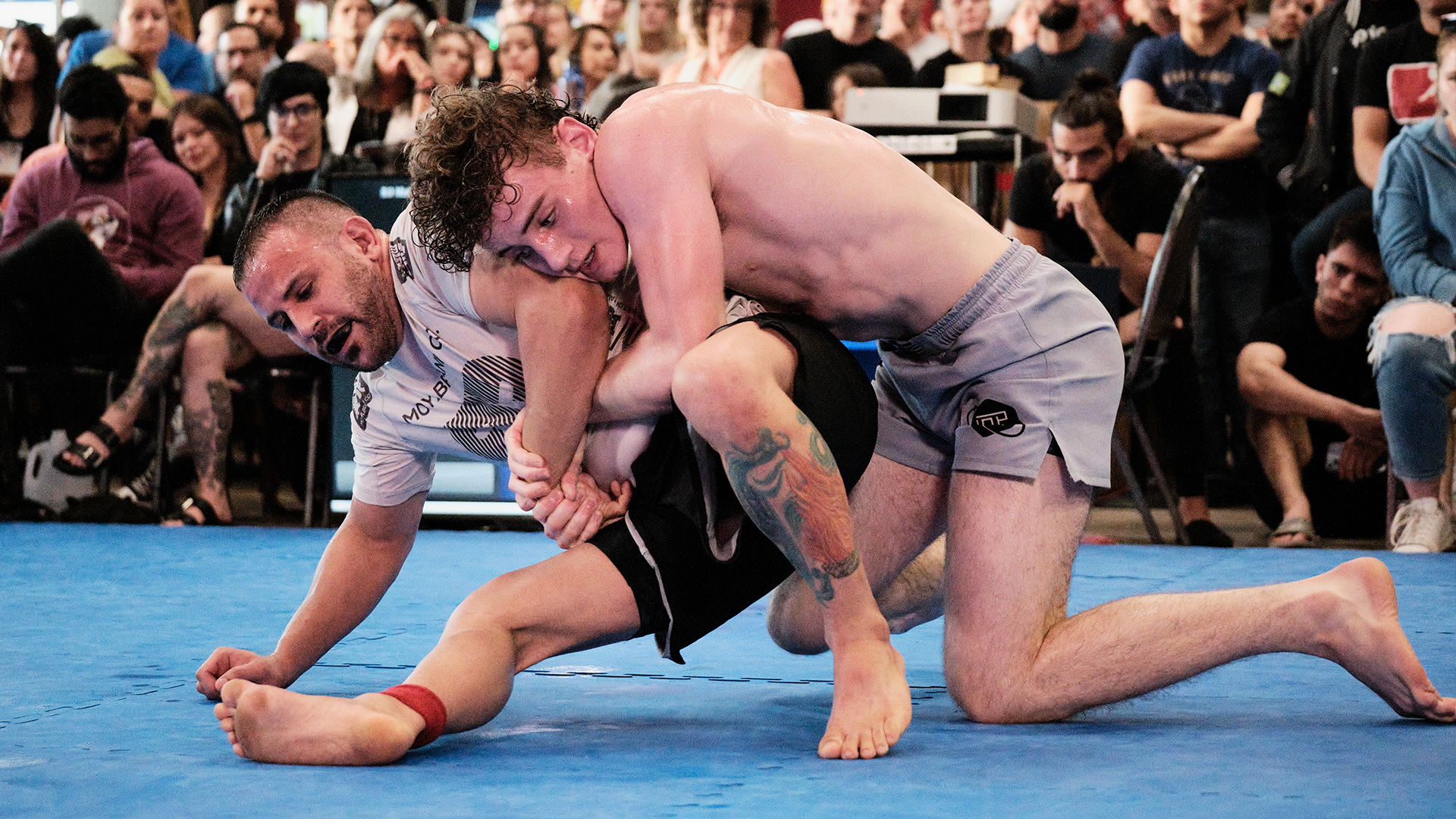 Shawn Harden vs Angelo Giostra