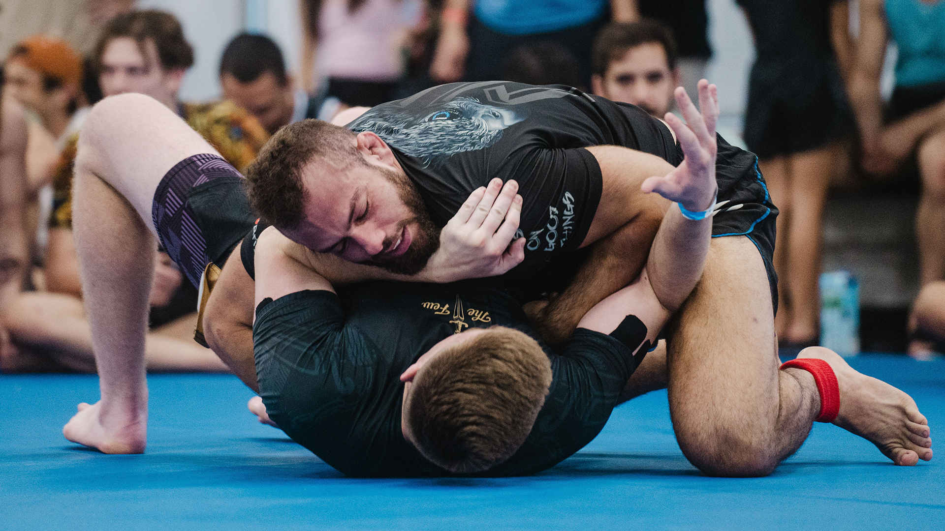 David Buis vs Sebastian Attard