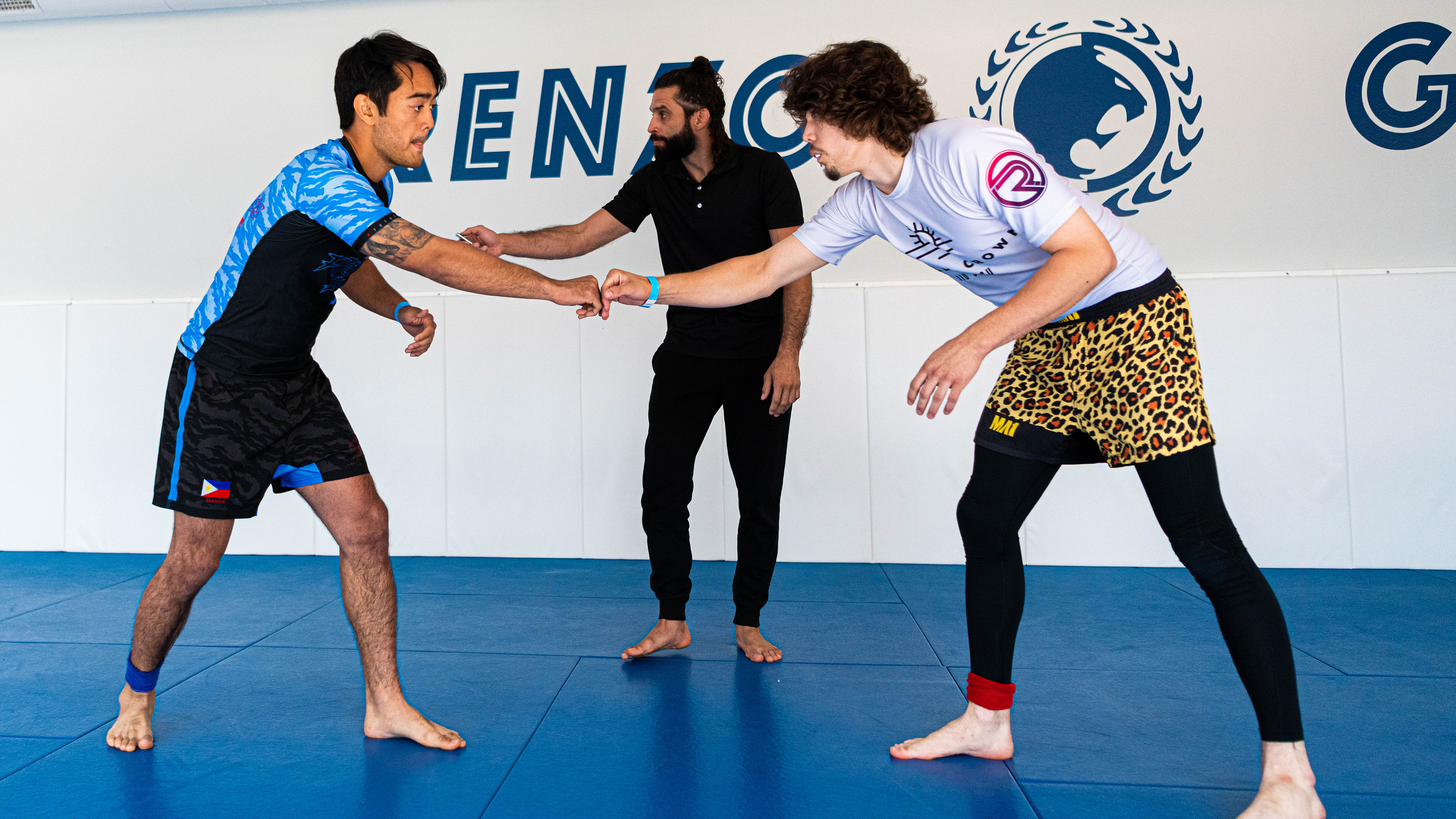 Noah Eledge vs Lorenzo Cuenca