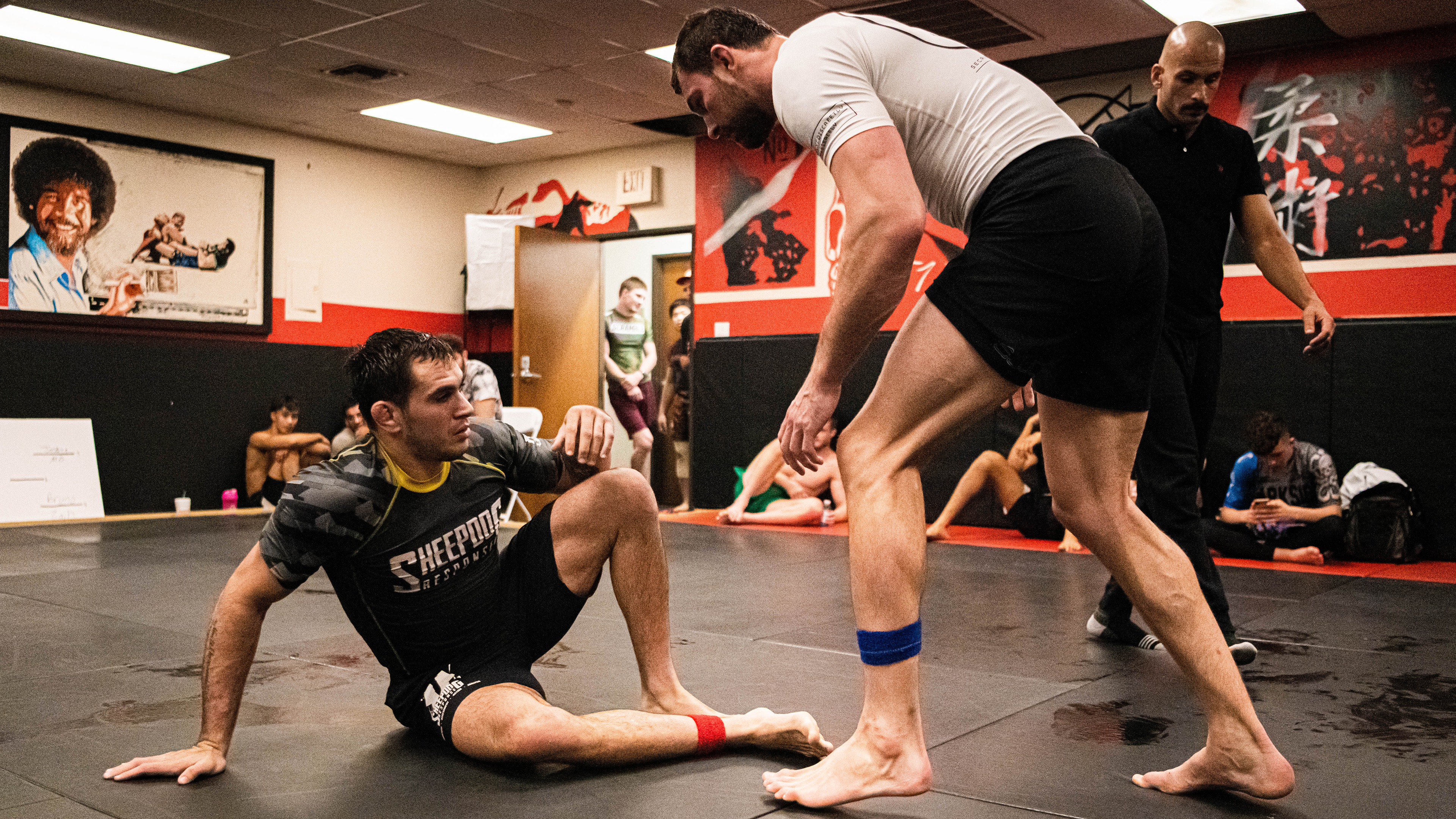 Giancarlo Bodoni vs Joe Dierkhising