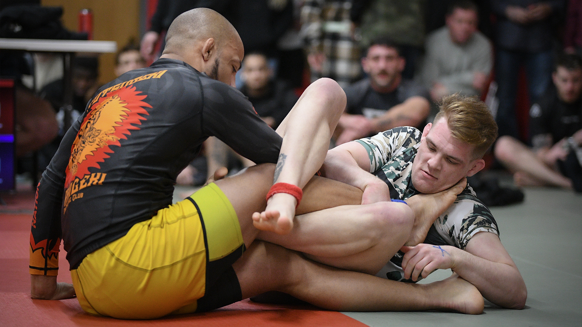 Max Hanson vs Luis Cabrera