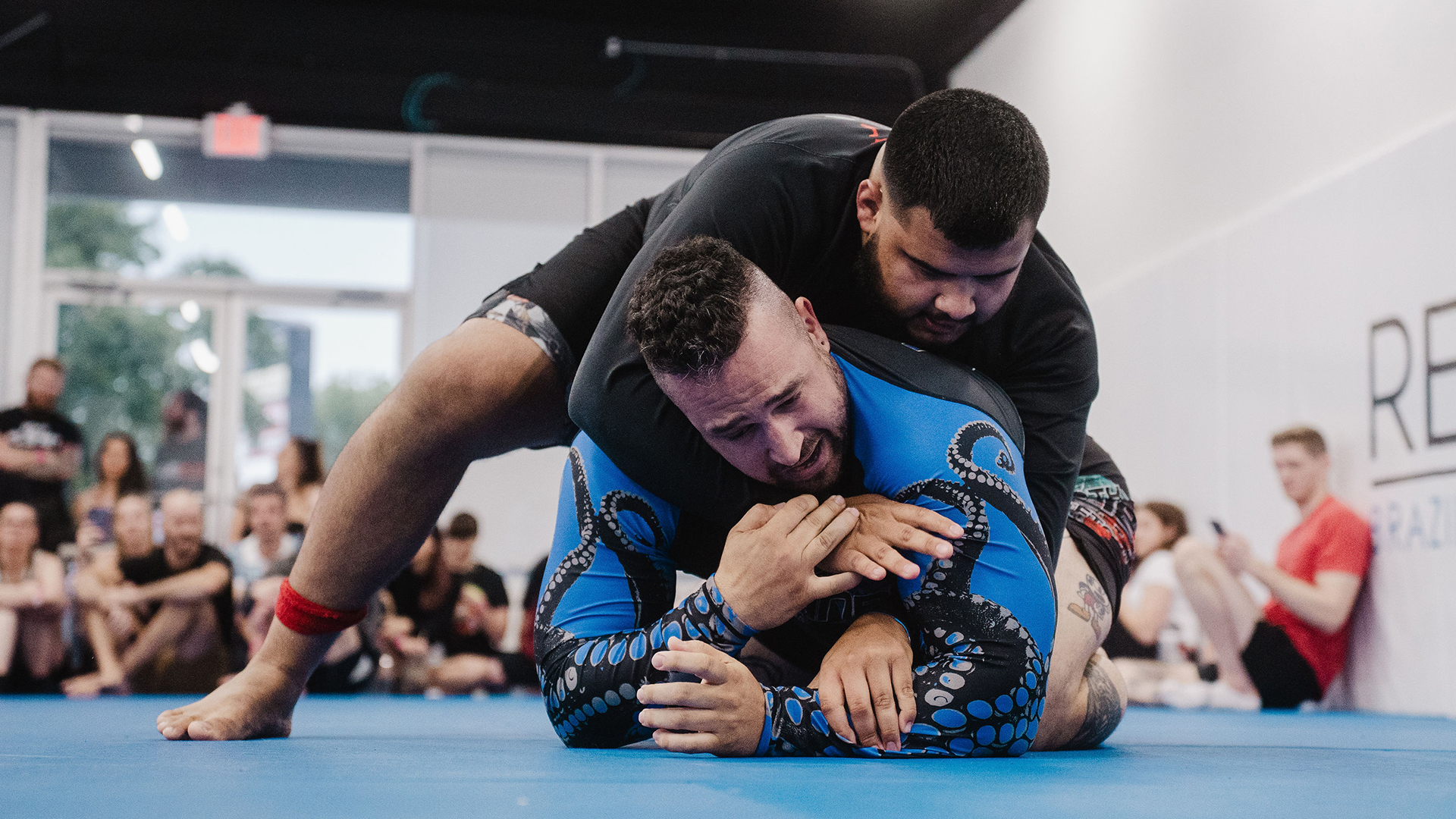 JJ Zayas vs Michael Ludvik