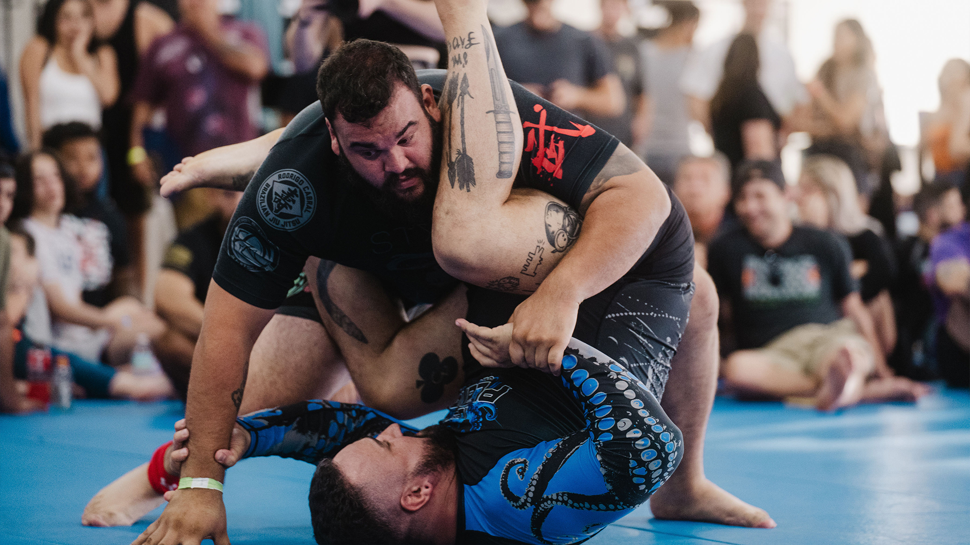 Michael Ludvik vs Steven Graham