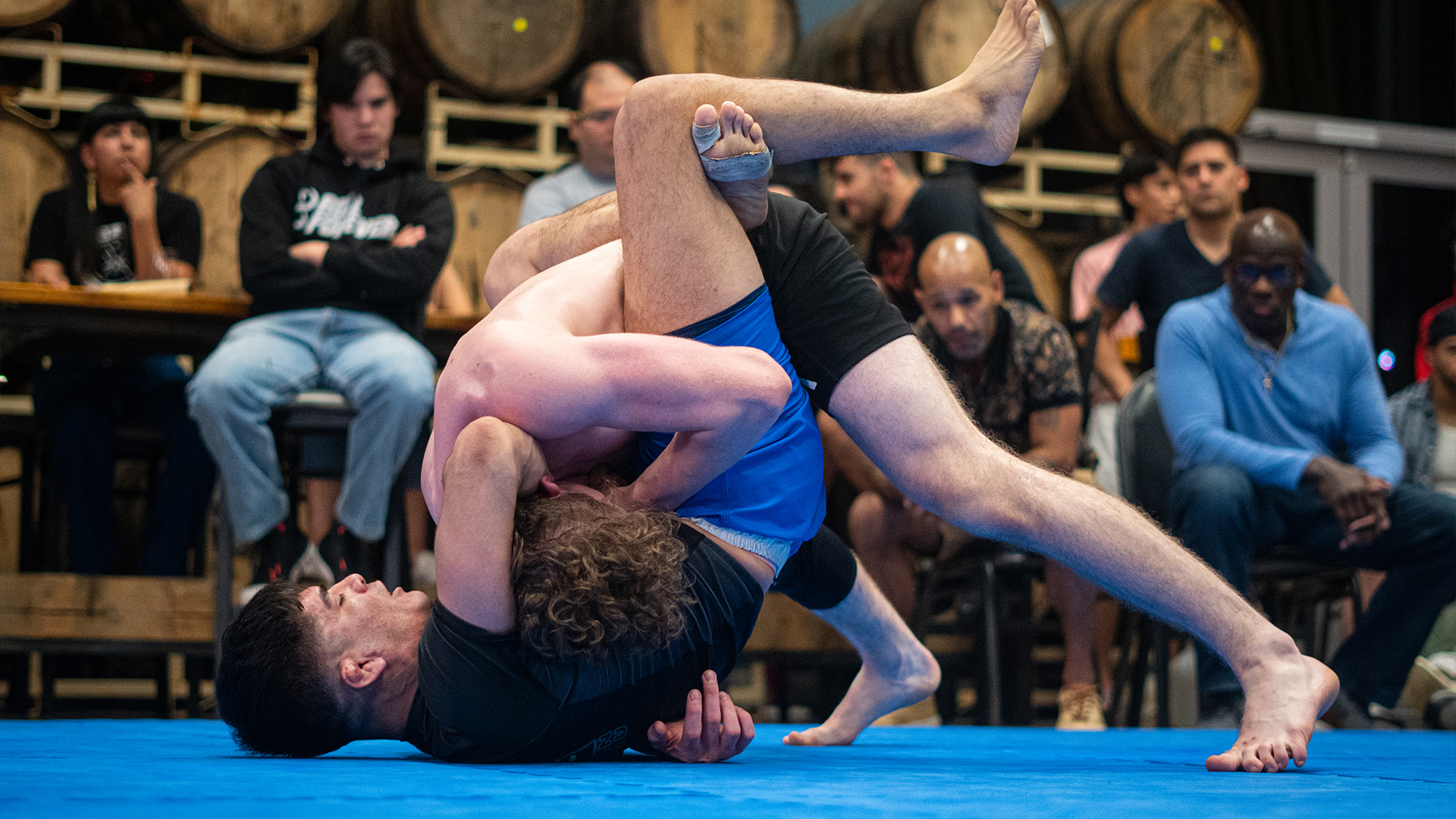 Shawn Harden vs Andrew Rodriguez