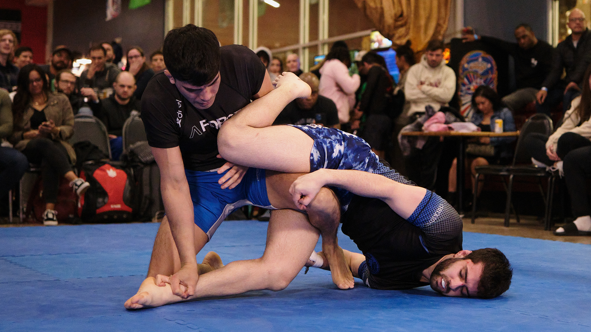 Joseph Lewis vs Andrew Rodriguez