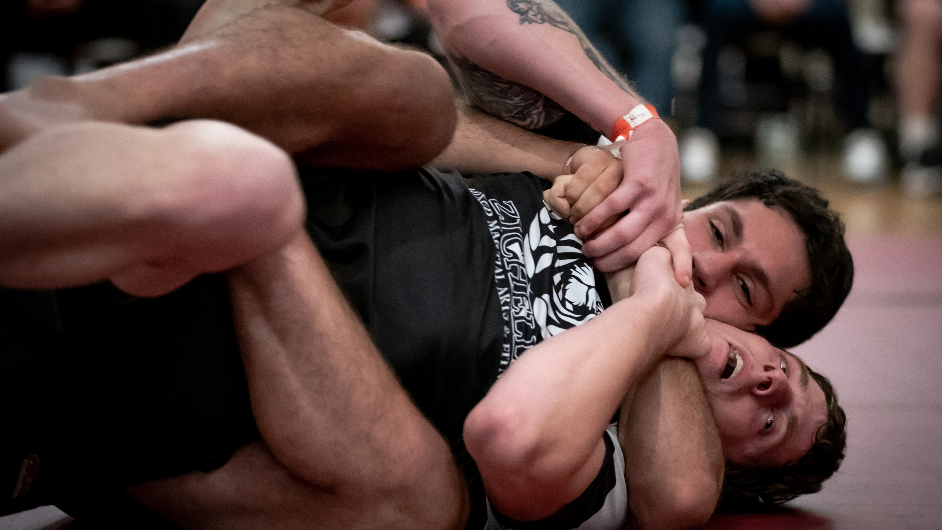 Fred Sfeir vs Chad Kelly