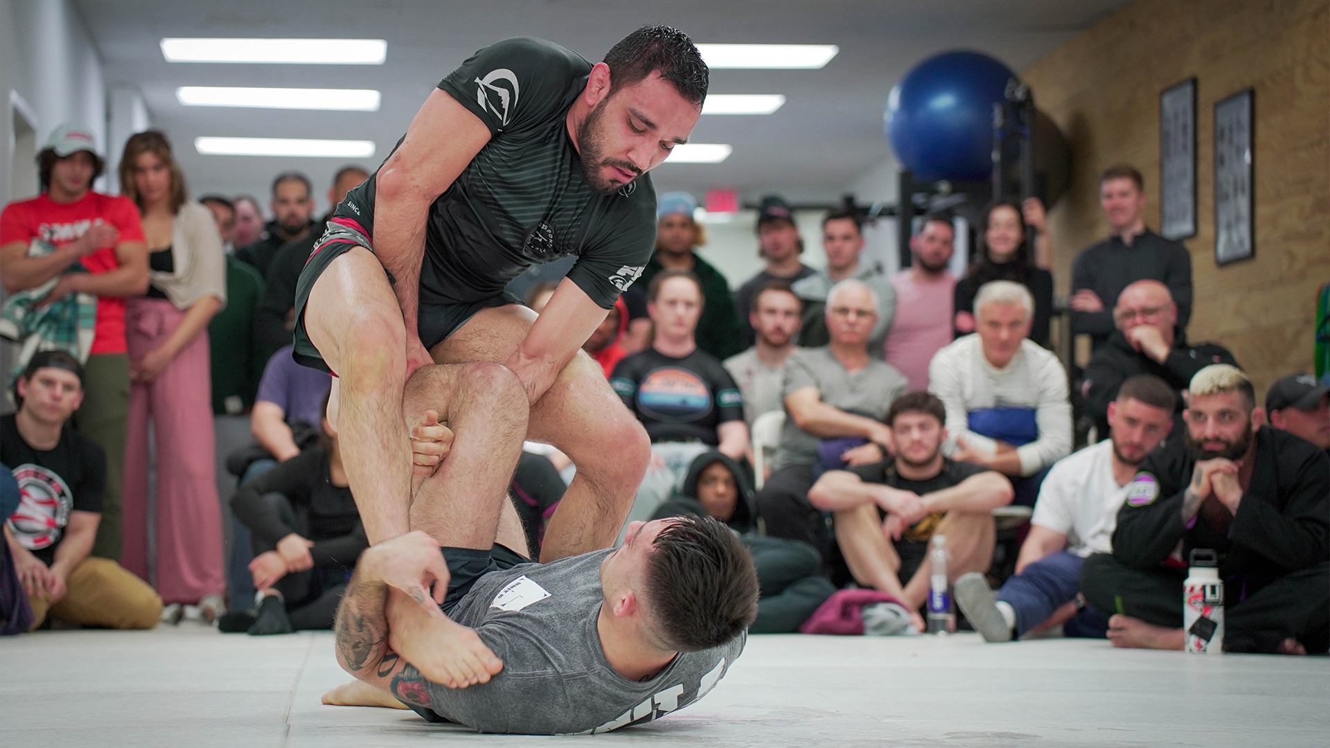 Mike Navarrete vs Michael Haynes-Moller