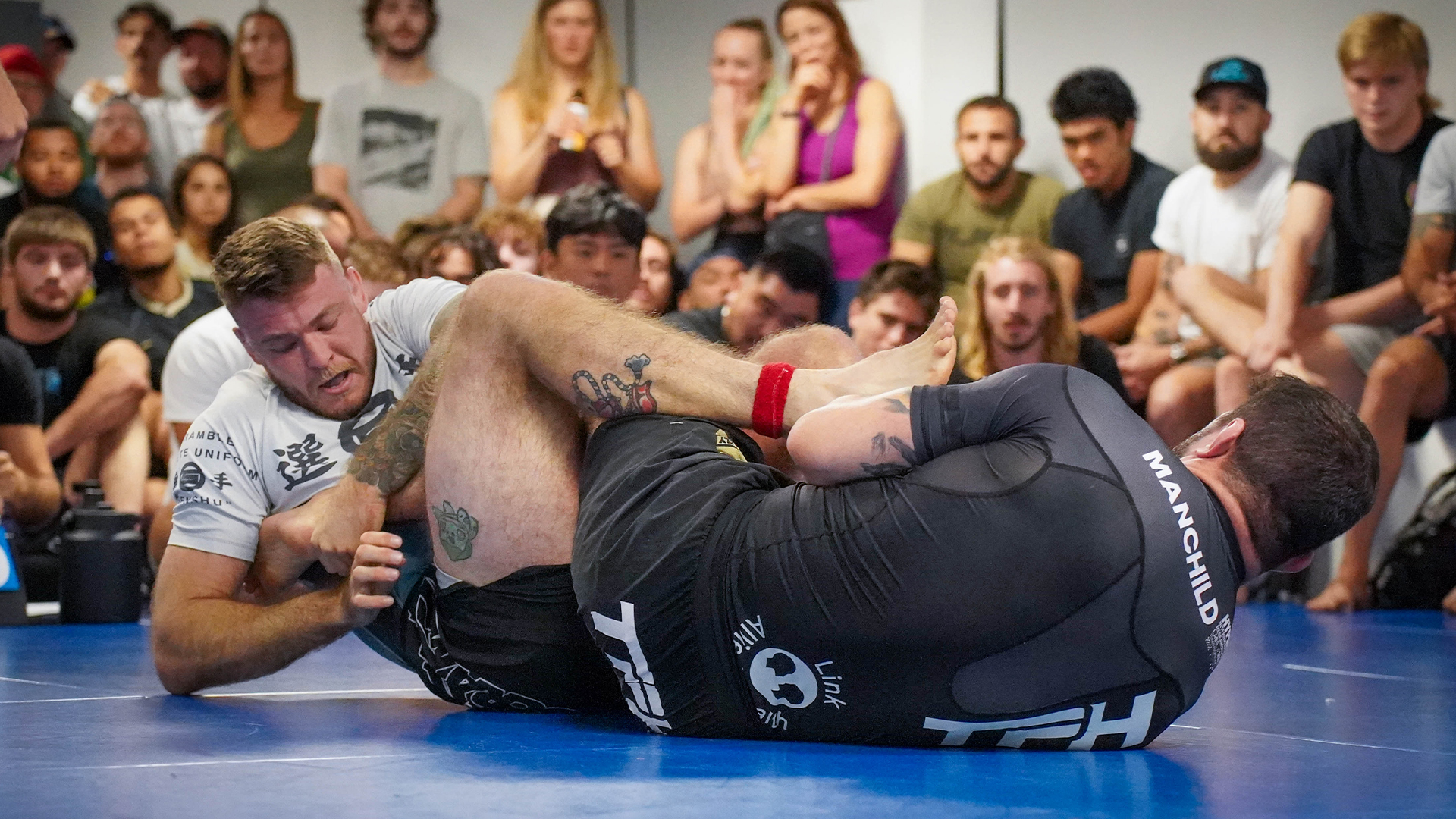 Declan Moody vs Daniel Schuardt