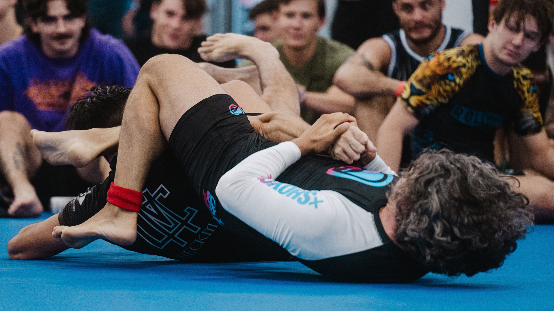 Ian Mindham vs Armando Mustacchio