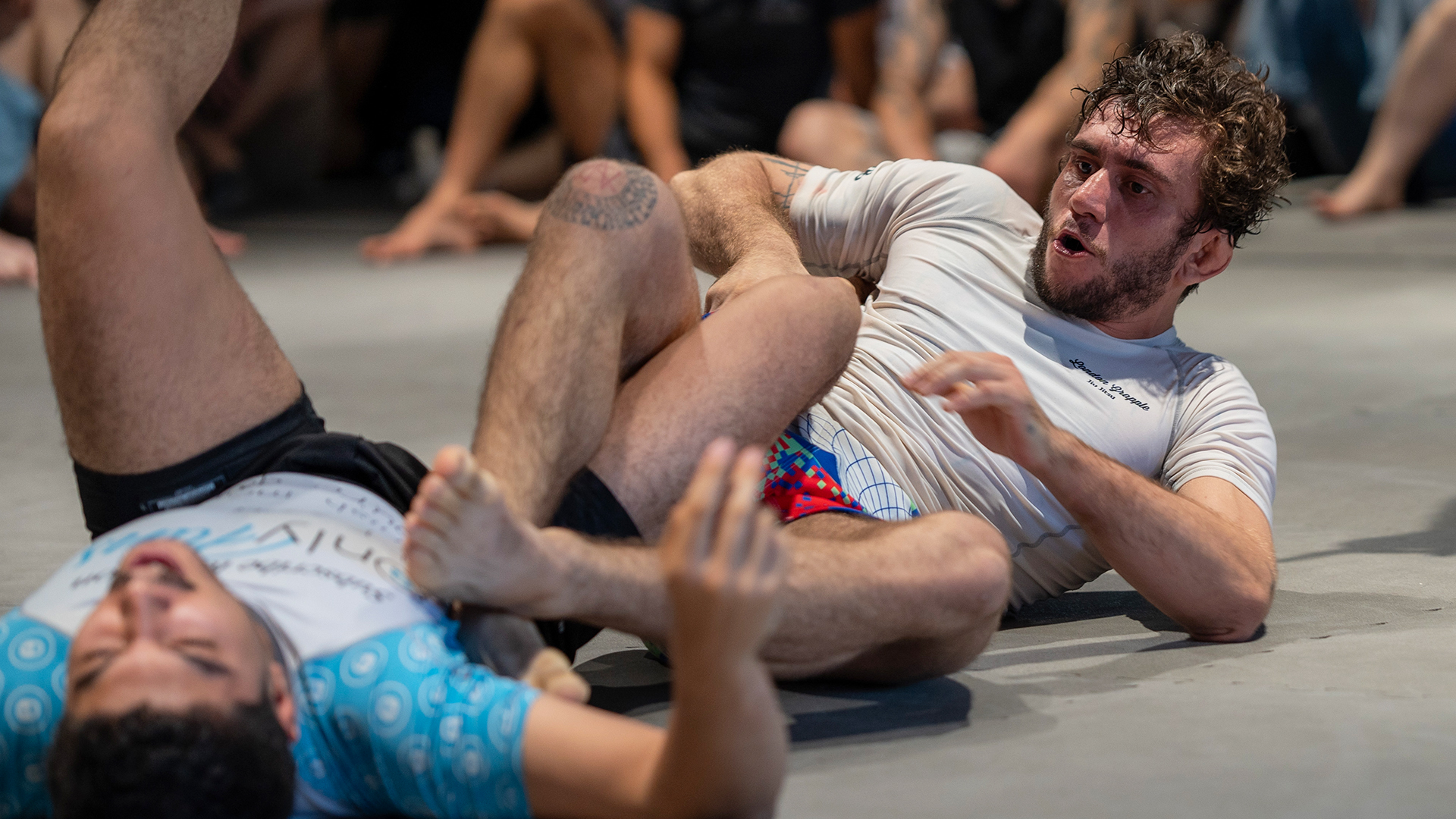 Mateo Montano vs Sebastian Curelaru