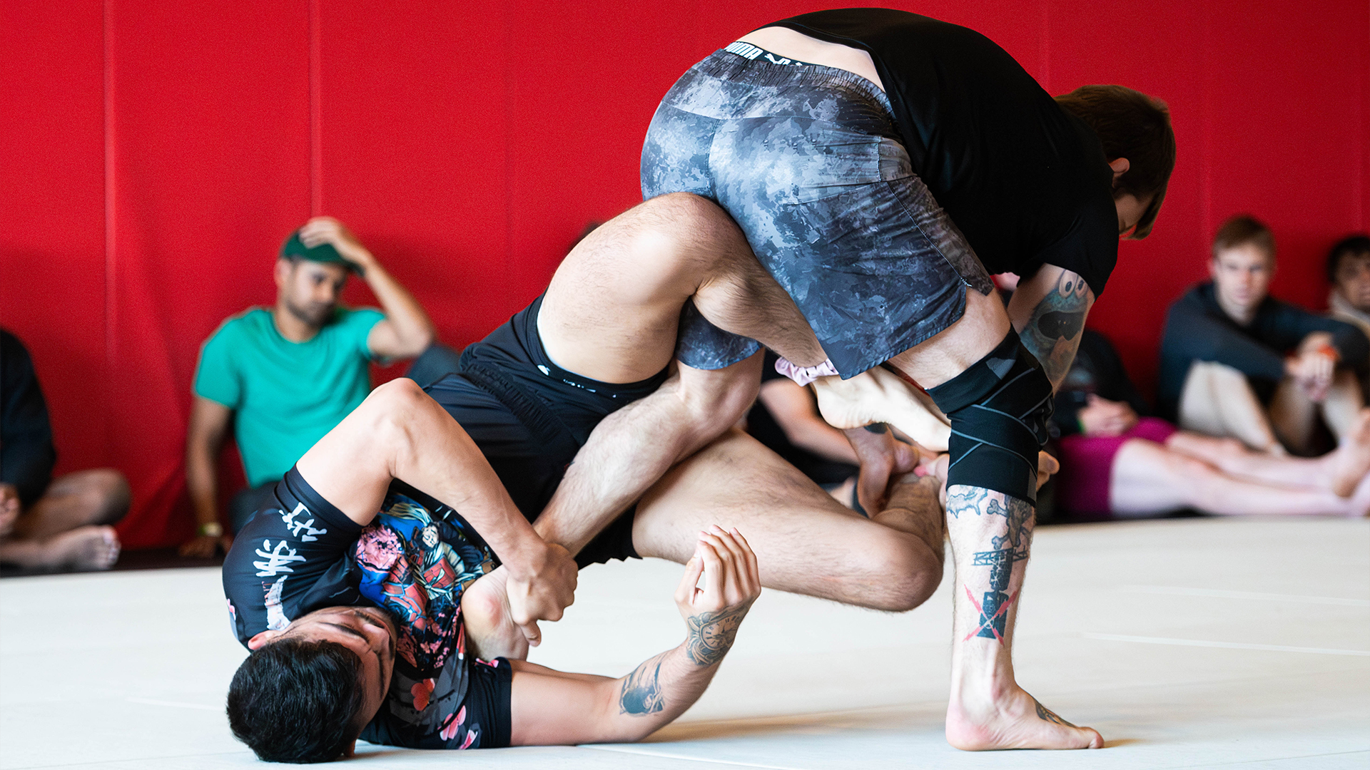 Douglas Cook vs Jeovany Ortiz