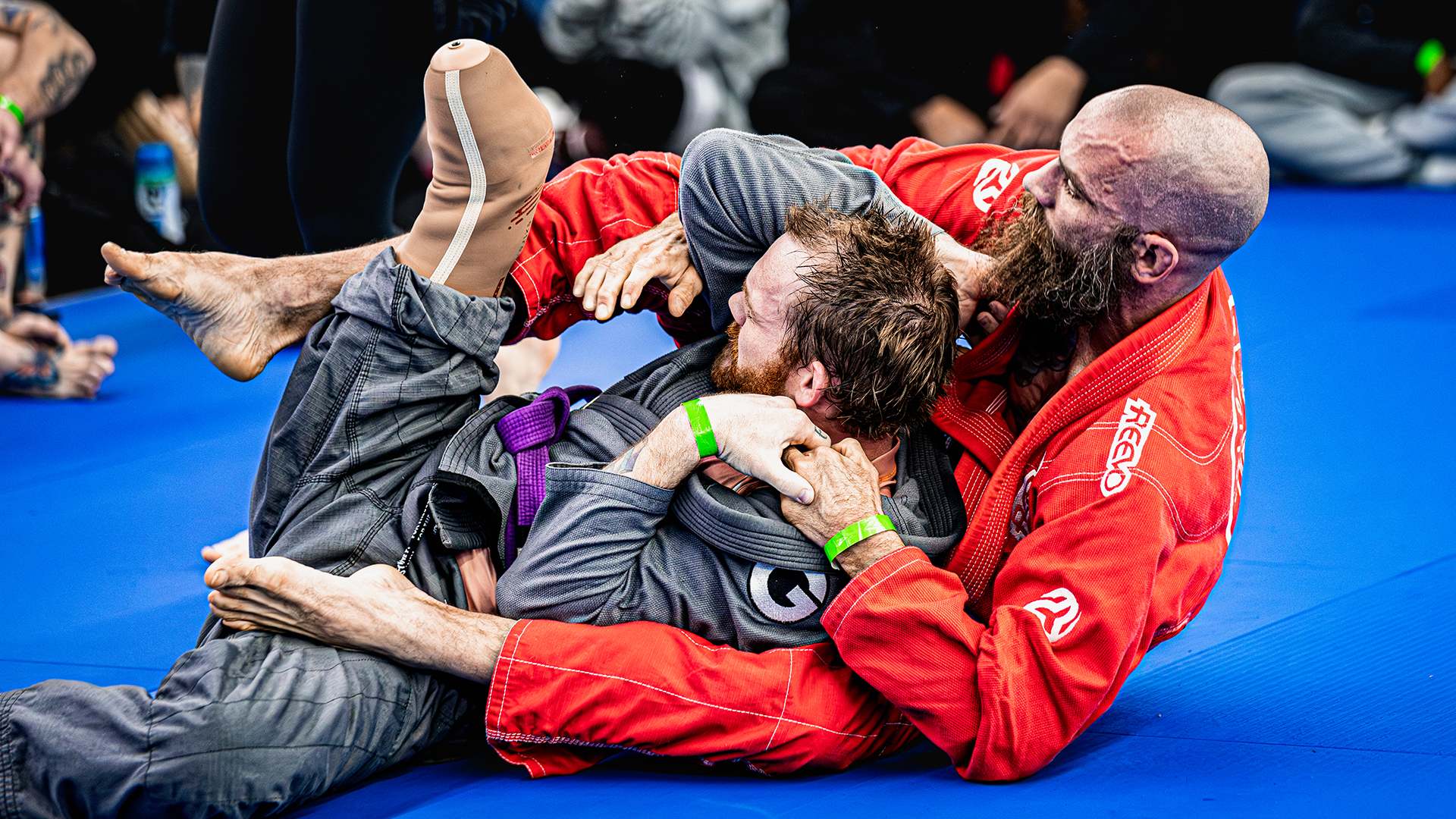 Michael Crow vs Michael Hodgin