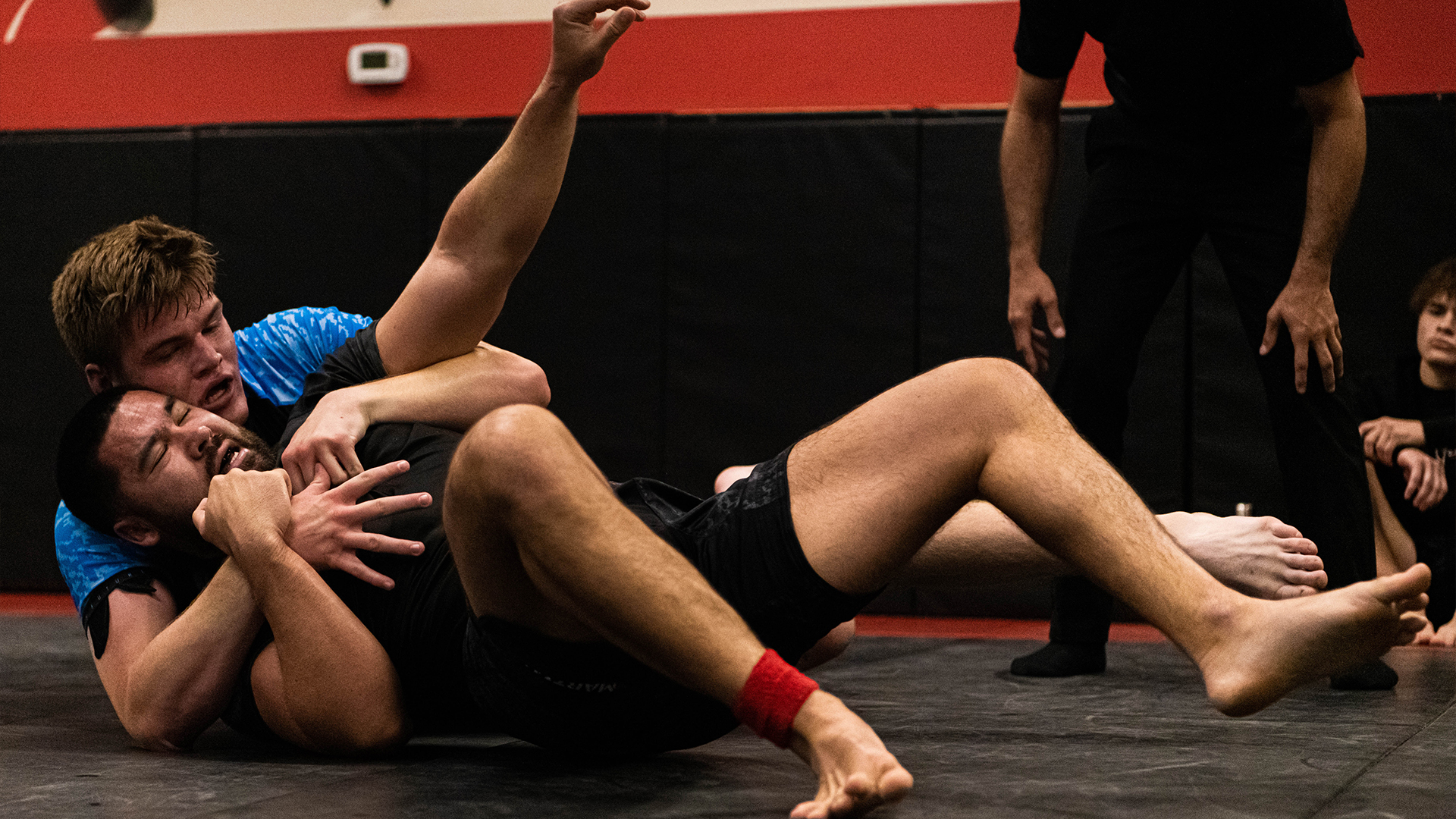 David Buis vs James De Lacey