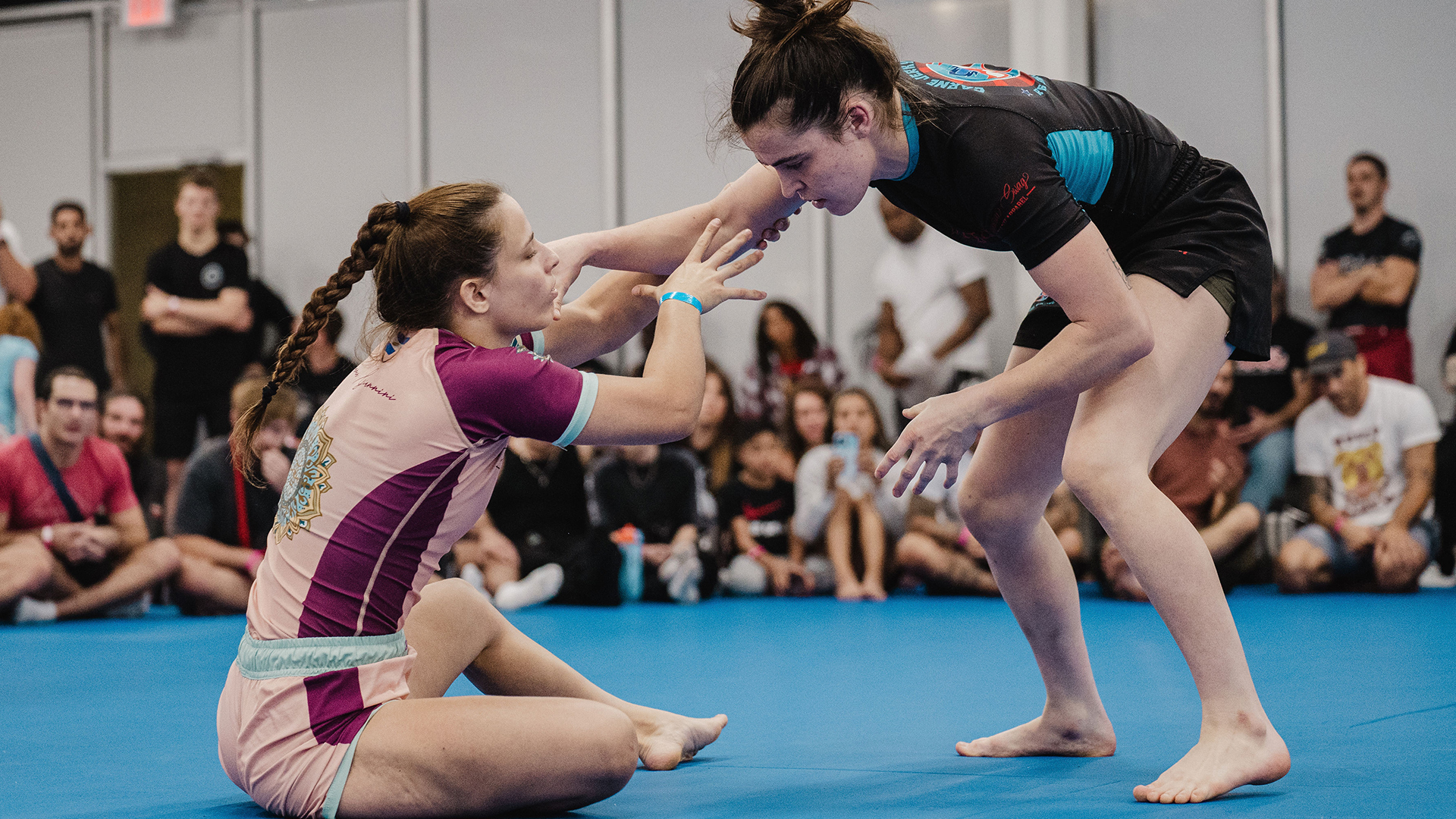 Ally Wolski vs Bianca Giannini