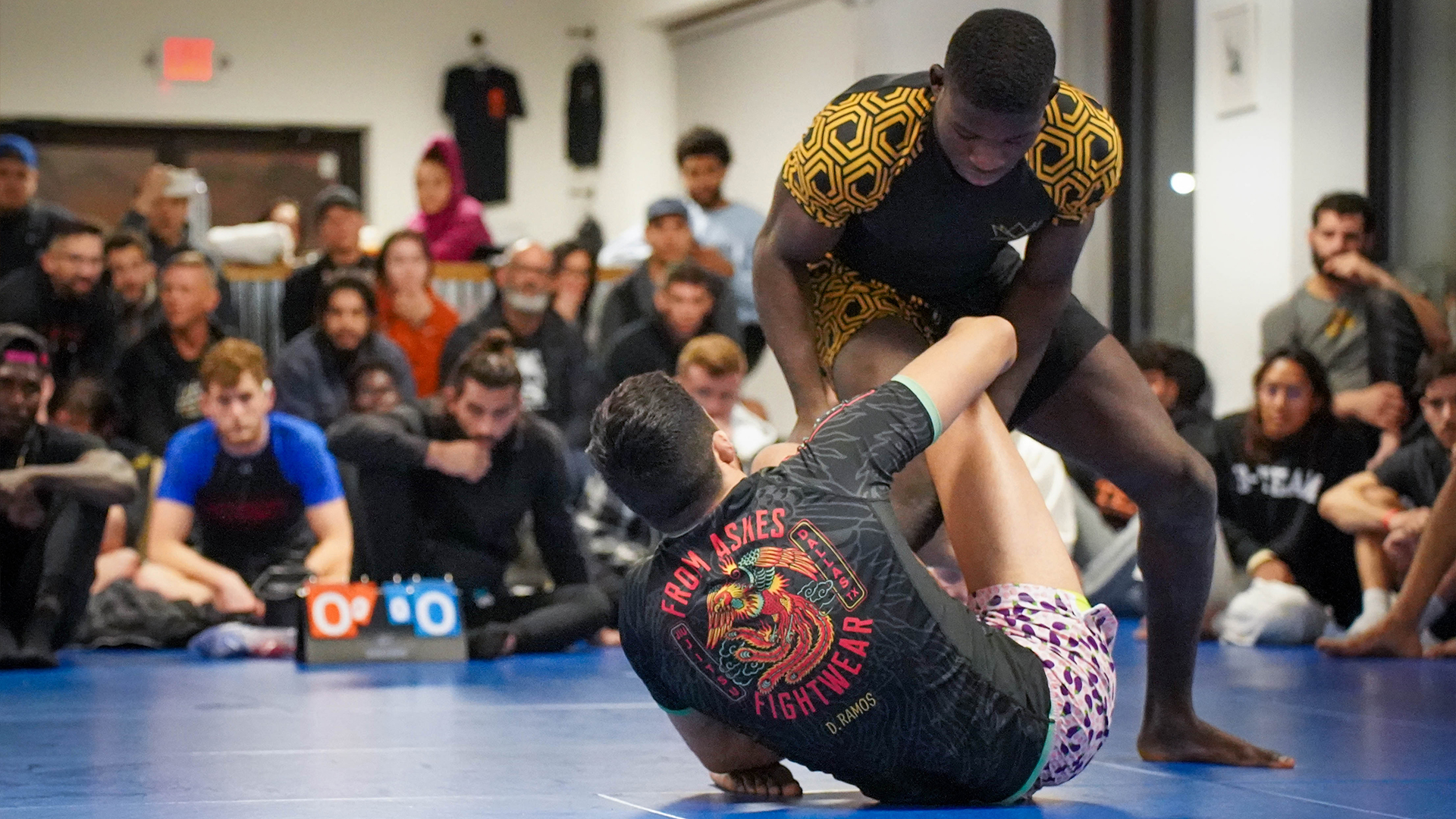 Davis Asare vs Dominic Ramos