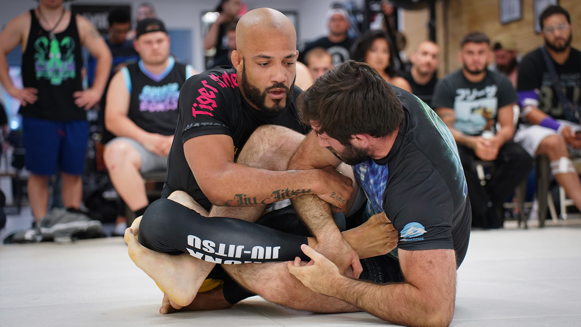 Dan Lee vs Luis Cabrera