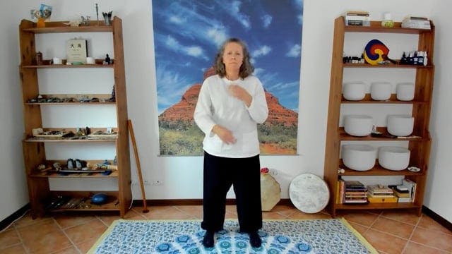 Vibration & Alignment KiGong class 