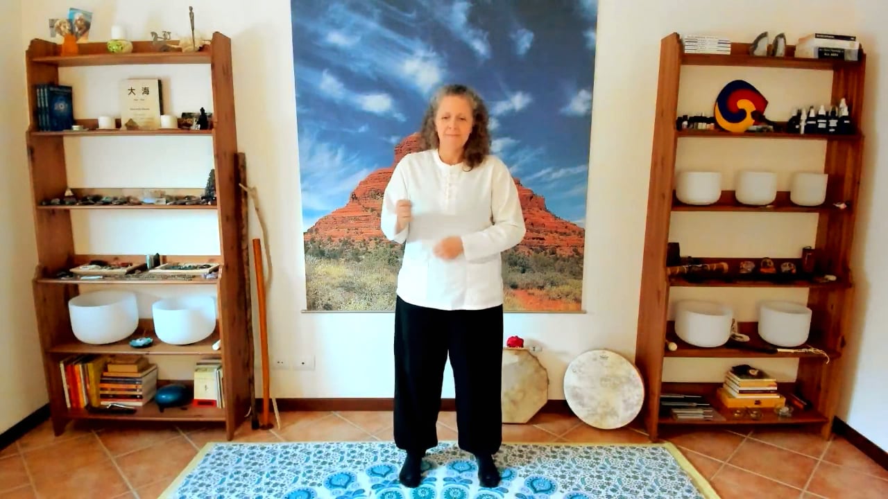 Vibration~Detox~Alignment