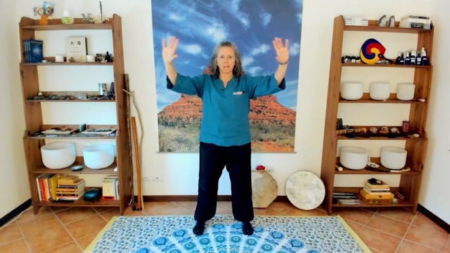 Vibration & Flexibility