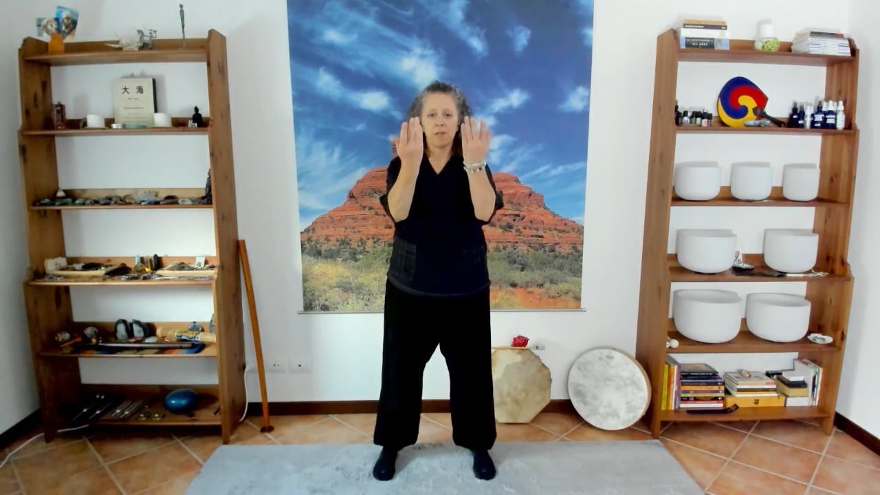 Gentle Detox, Vibration + Alignment KiGong  PART 1