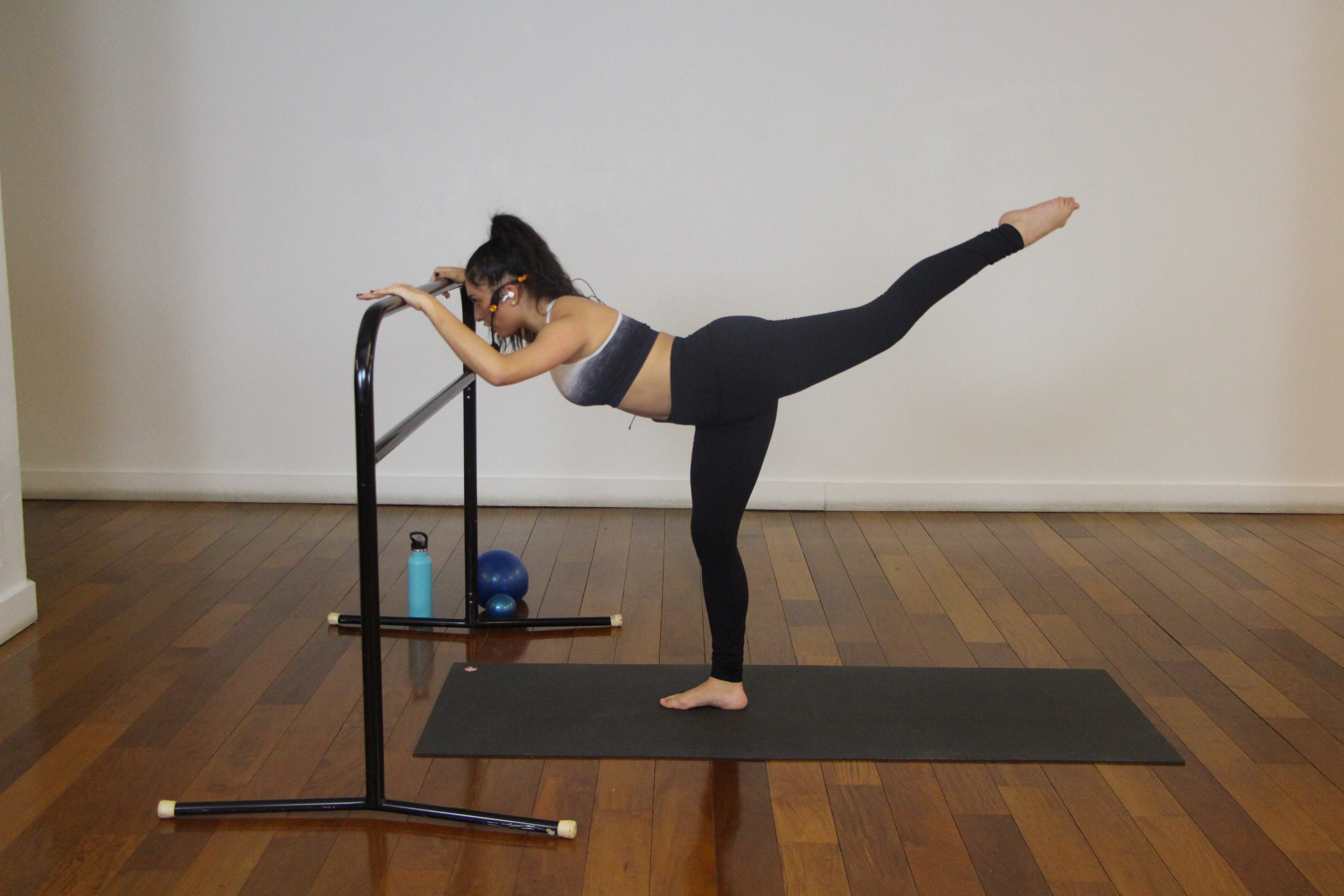  Barre-Fusion with Dana (en)